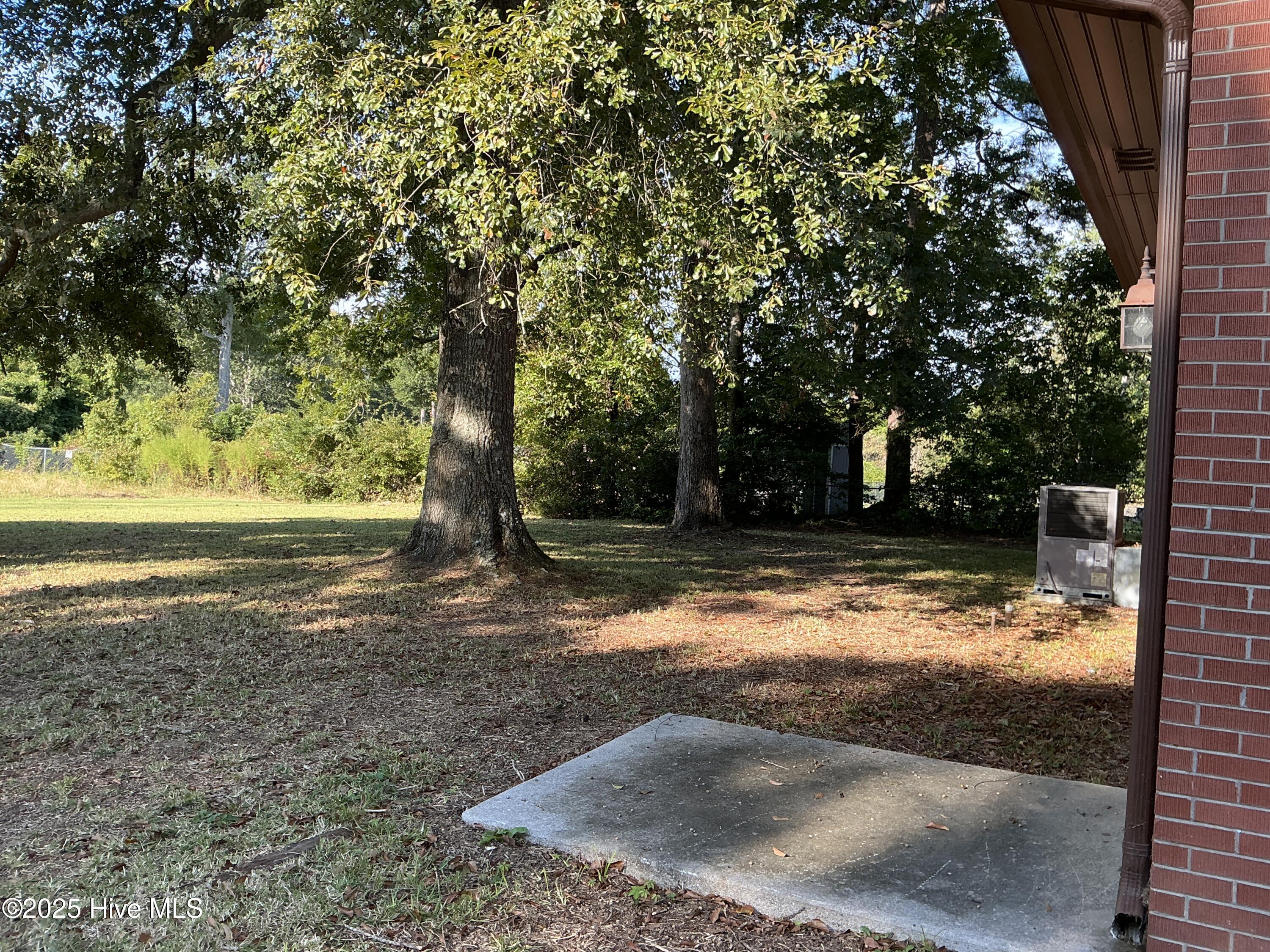 100548124 | Photo 17