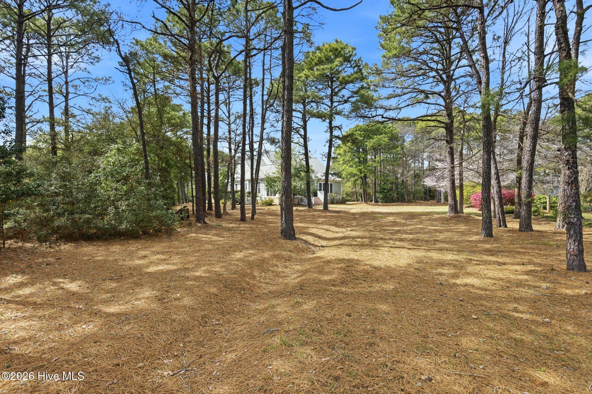 100564231 | Photo 69