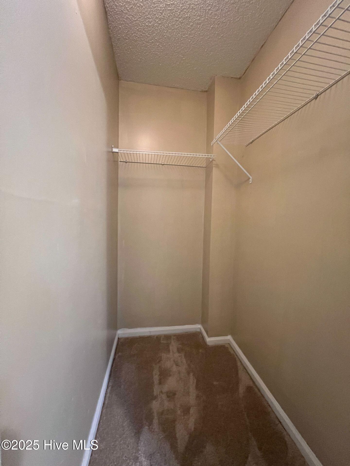 100553160 | Photo 16