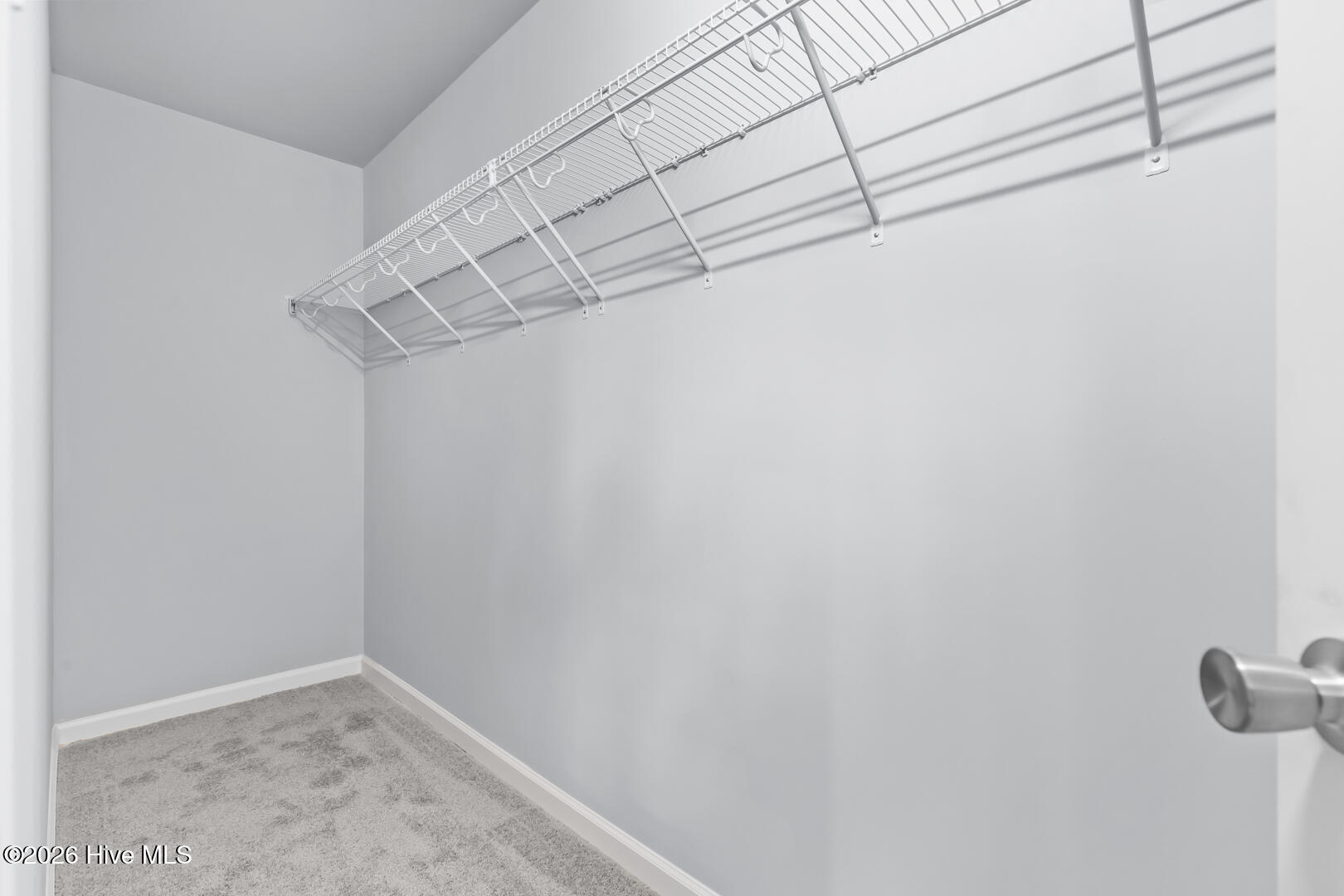 100560864 | Photo 23