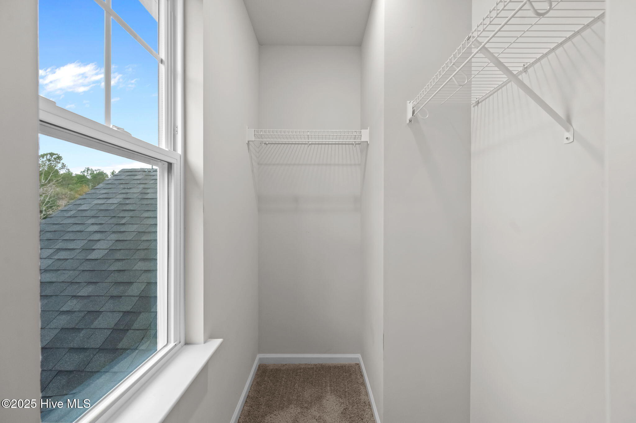 100547025 | Photo 36