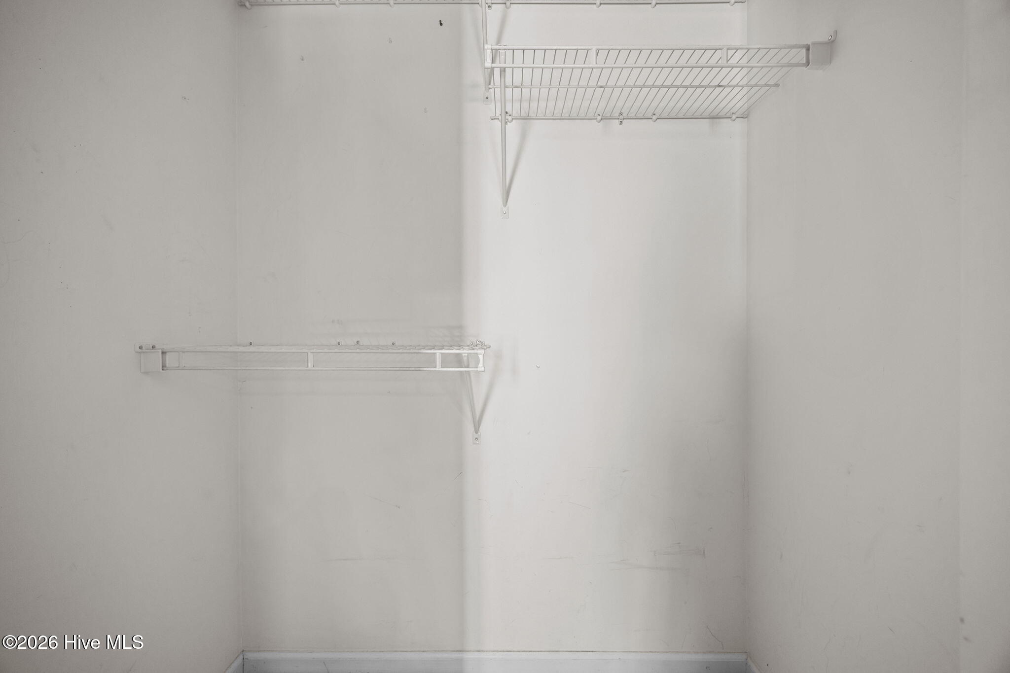 100550152 | Photo 23