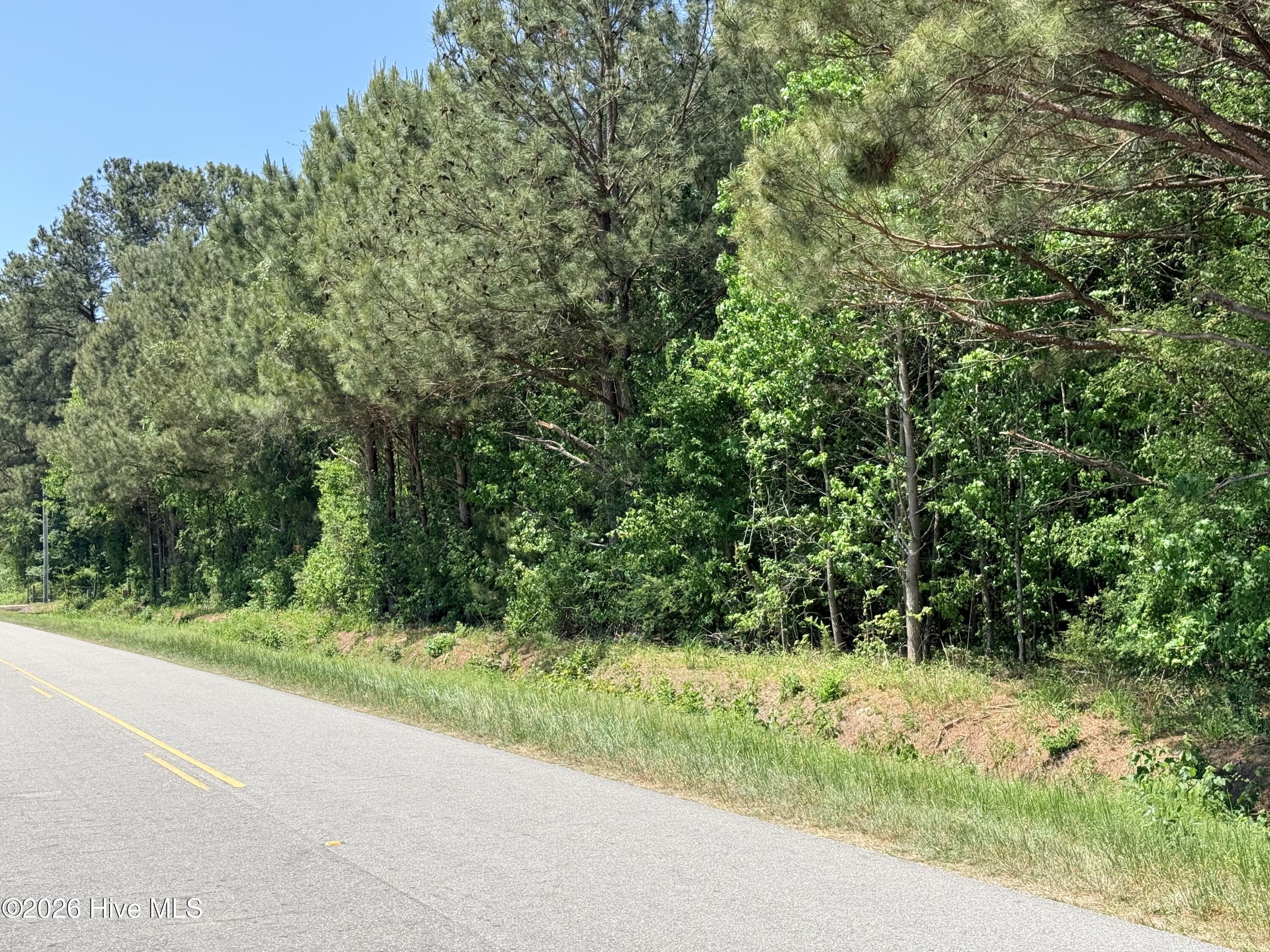Lot 2 Mt Carmel Church Road, Autryville, NC, 28318