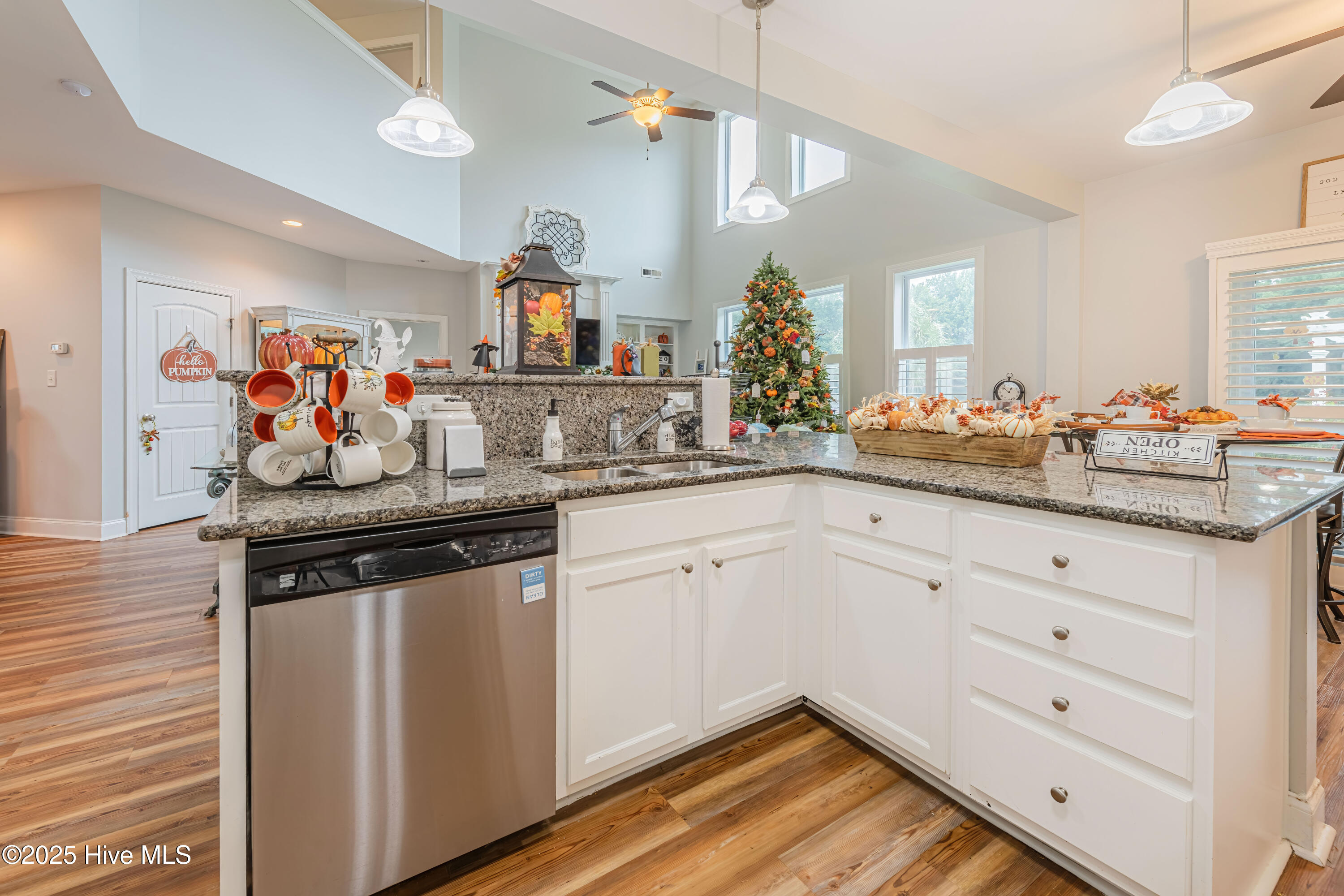 100524839 | Photo 29