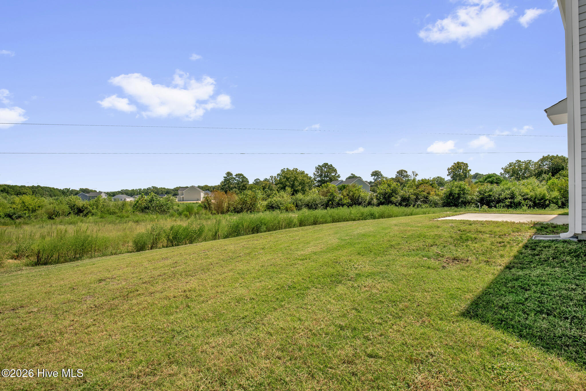 100603913 | Photo 3