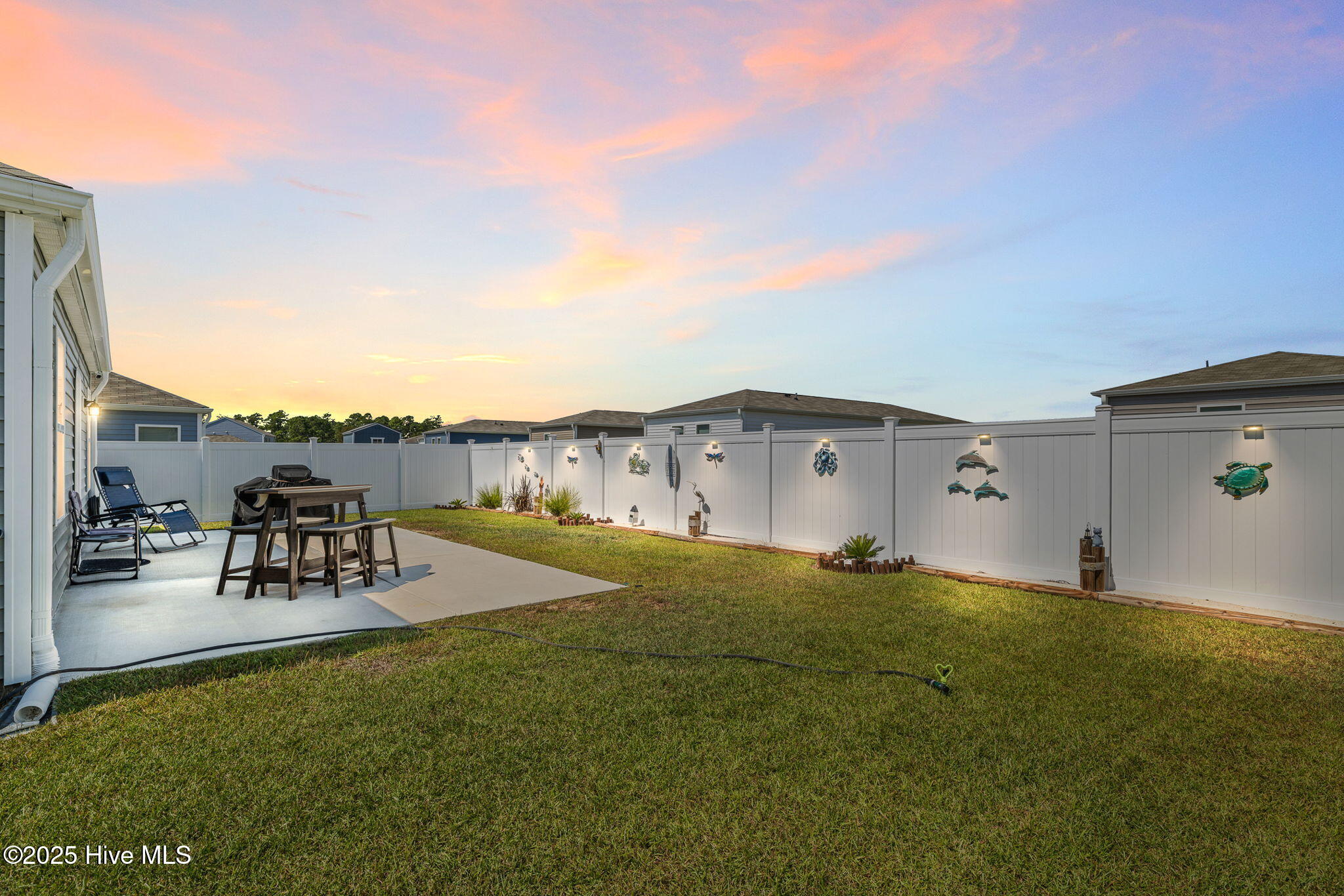 100531495 | Photo 30