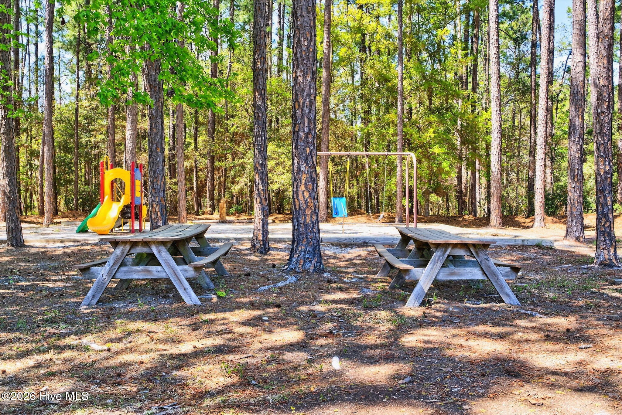 100564948 | Photo 54