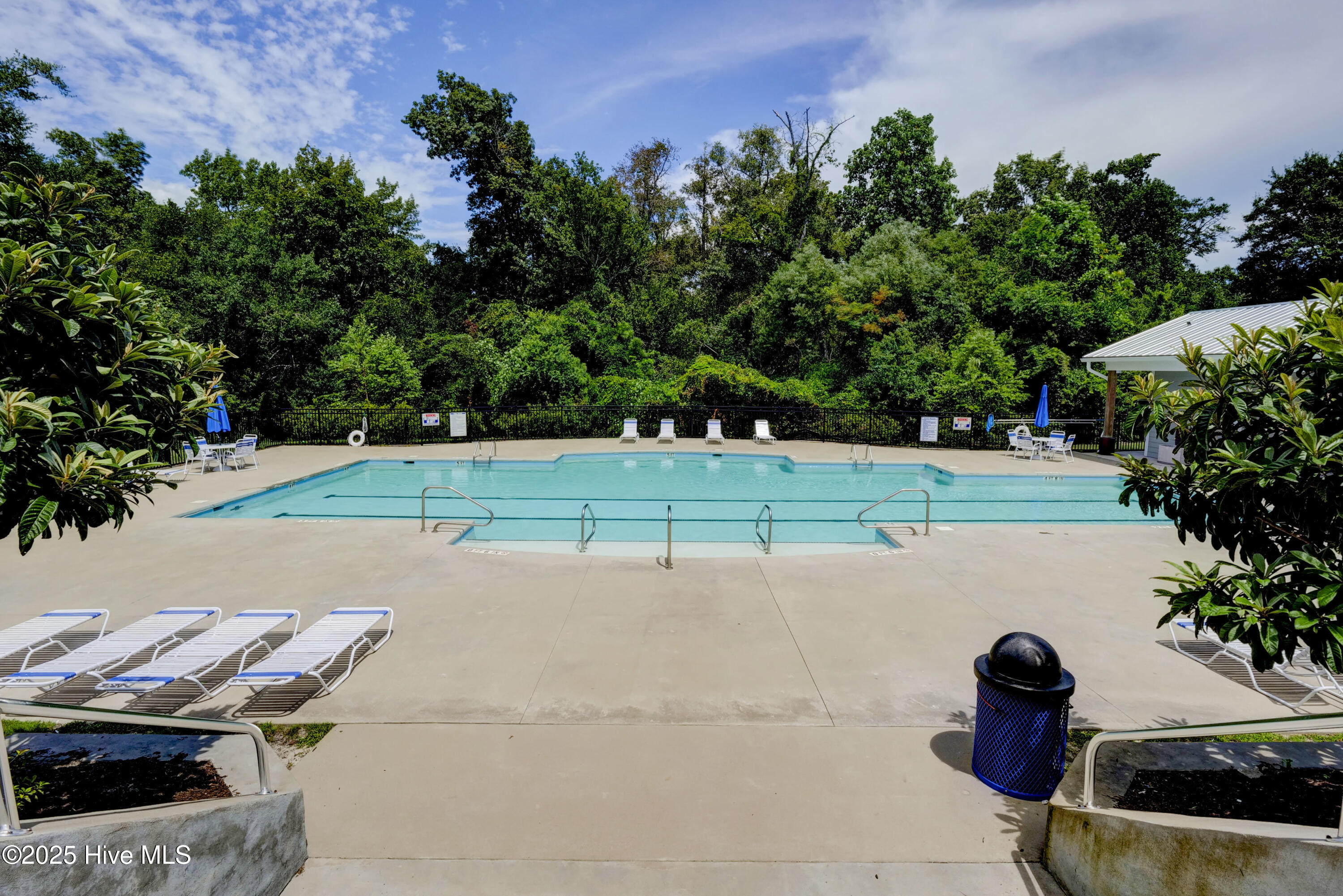 100538990 | Photo 39