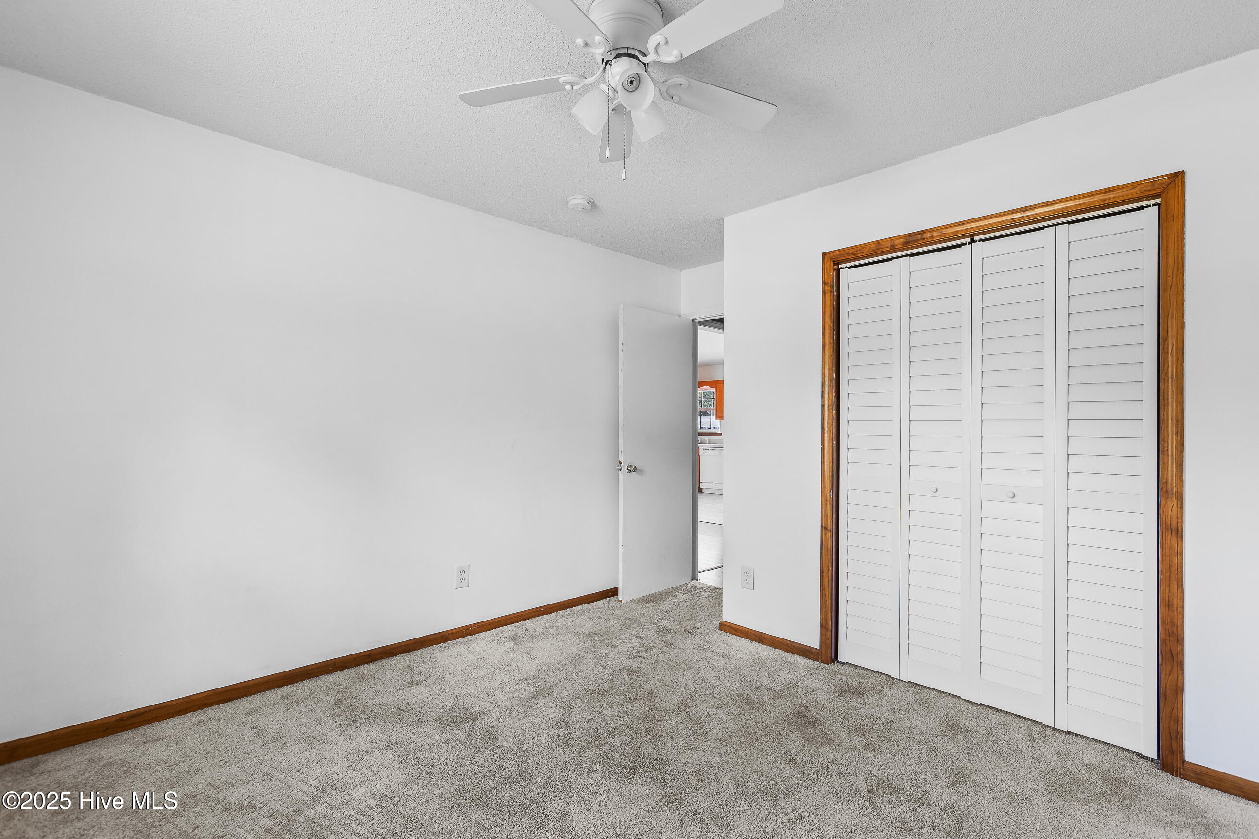 100535056 | Photo 16