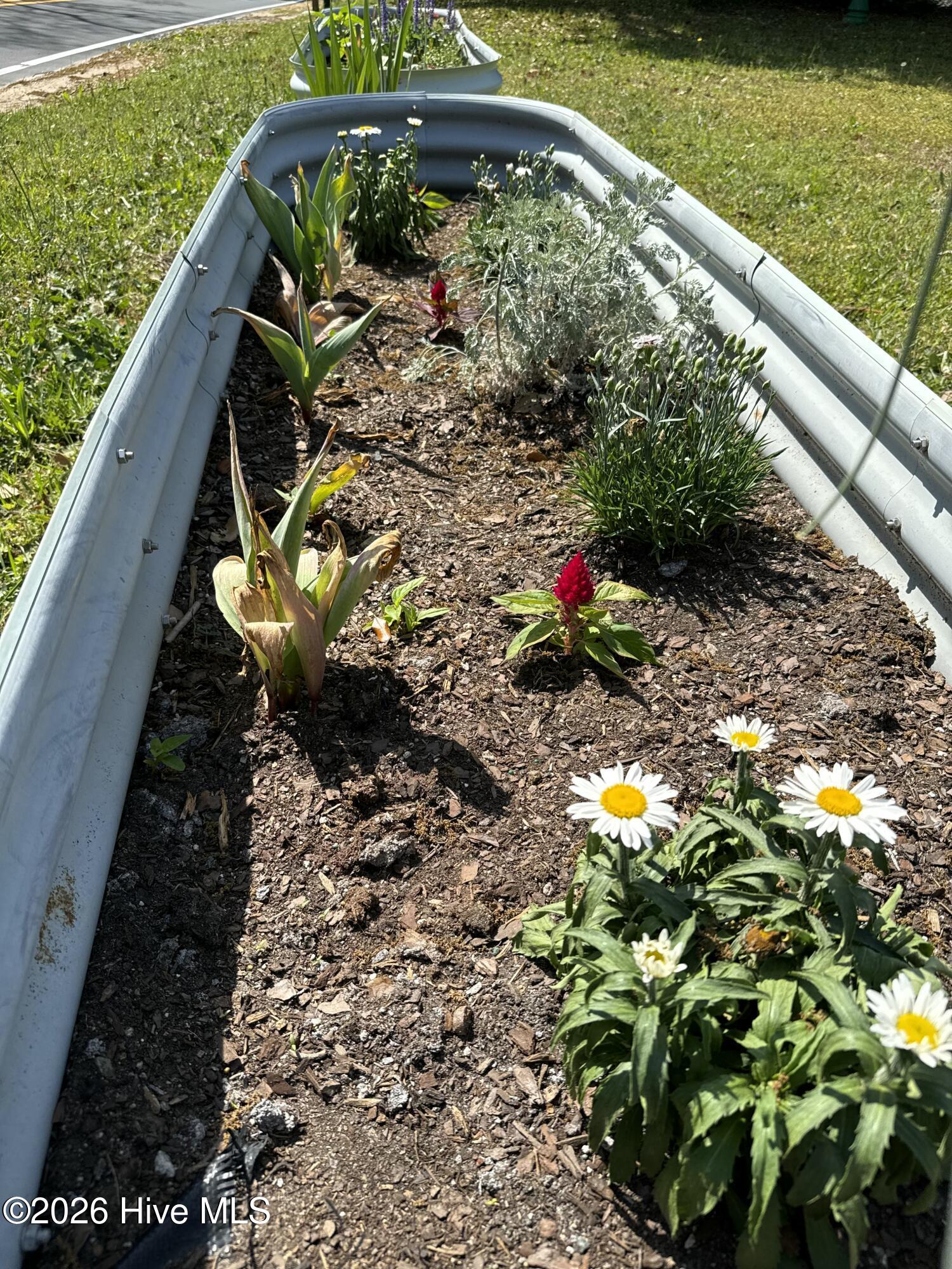 100553037 | Photo 49