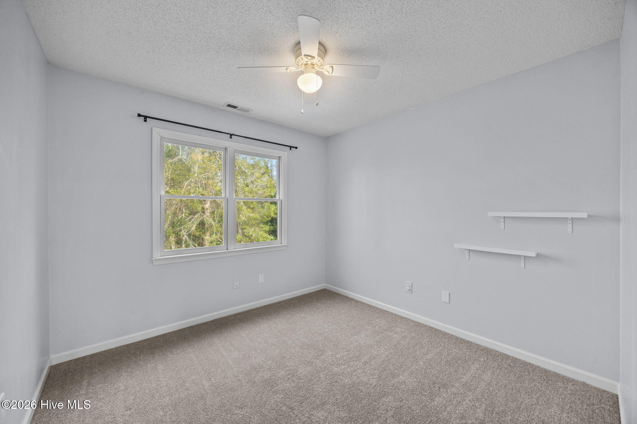 100552786 | Photo 21