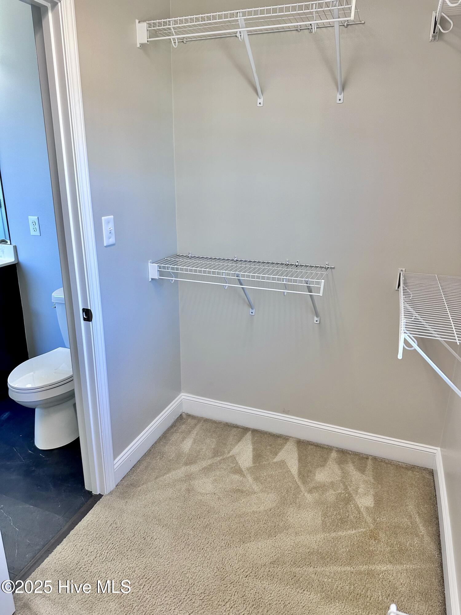 100542600 | Photo 29