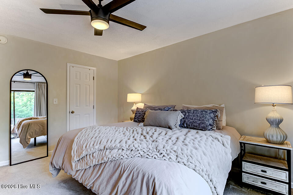 100567381 | Photo 22