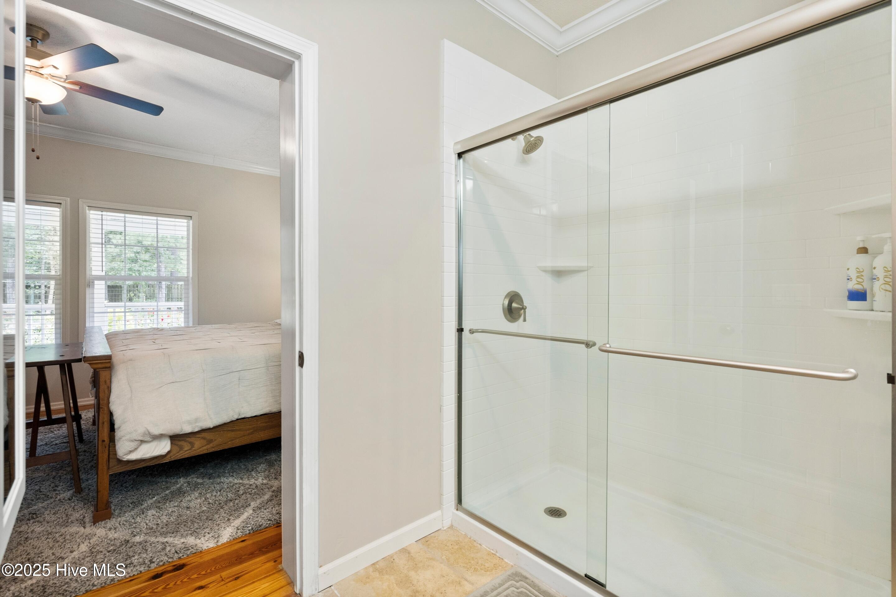 100535134 | Photo 23