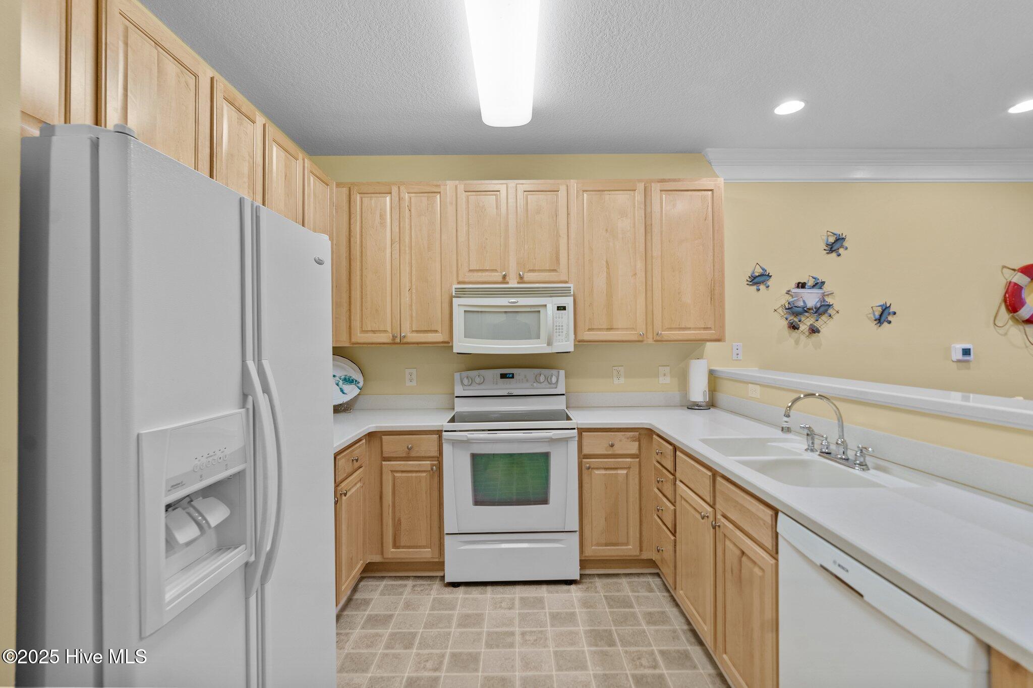 100514091 | Photo 11