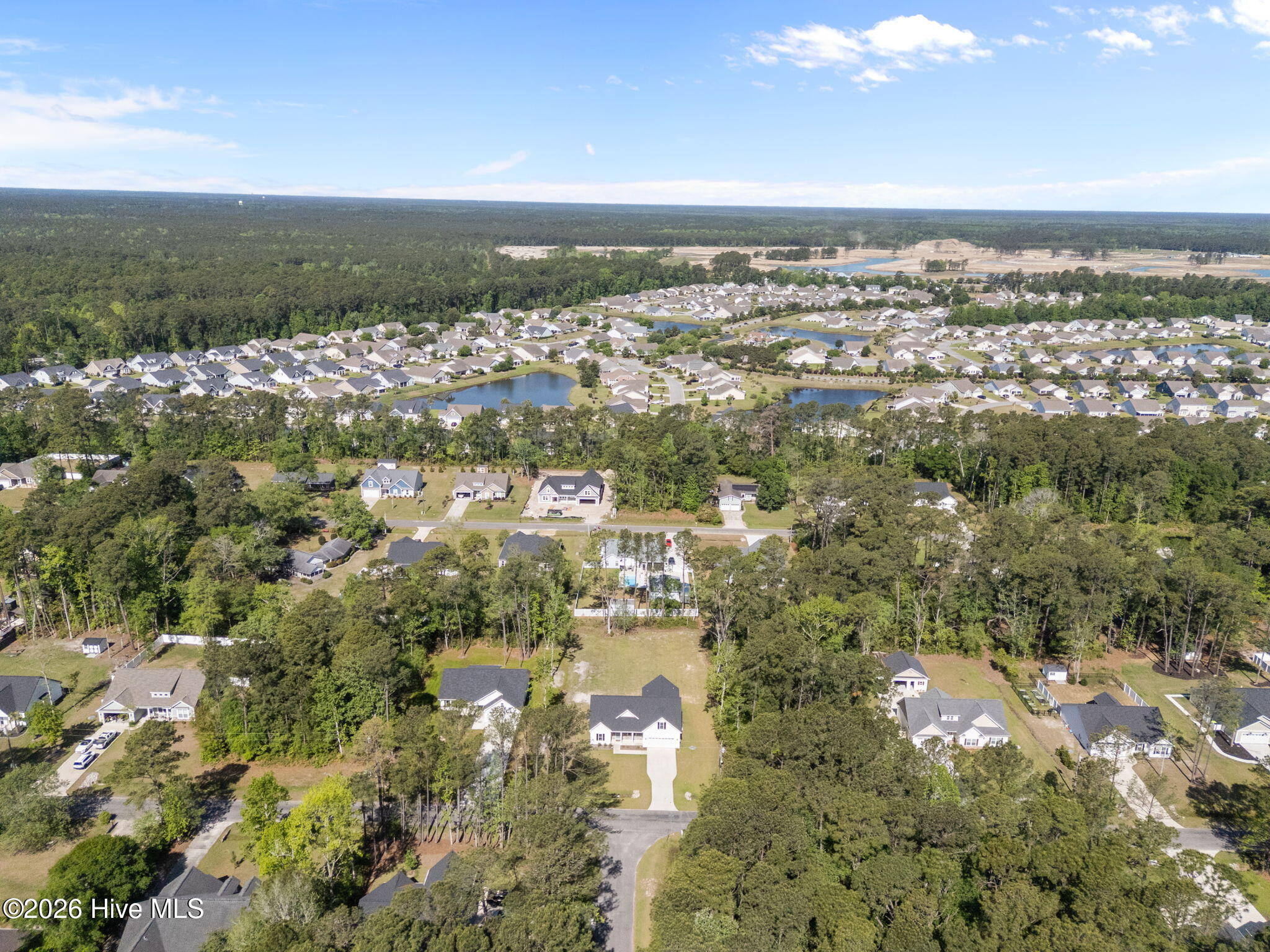 100568491 | Photo 42