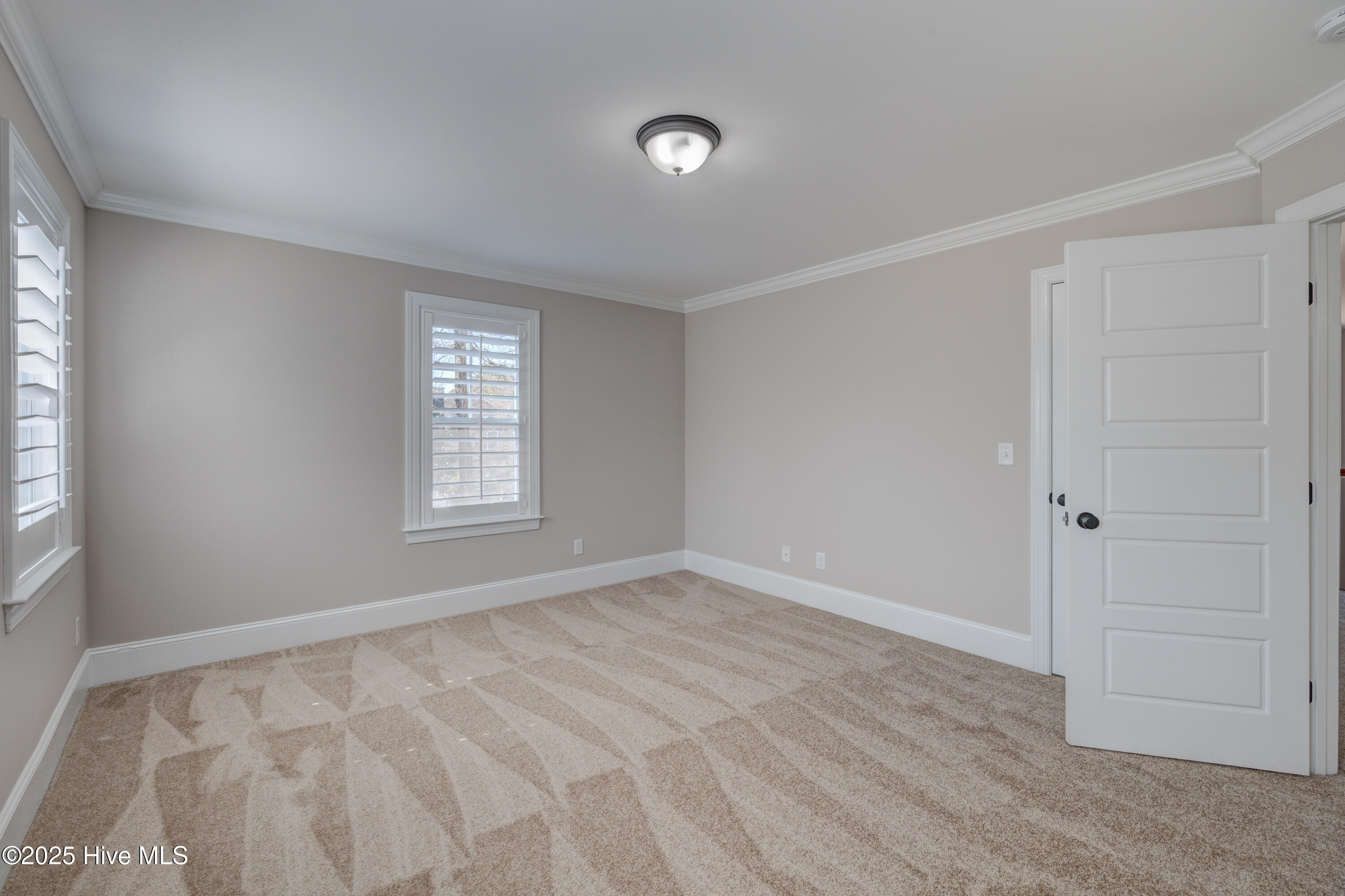 100496540 | Photo 56