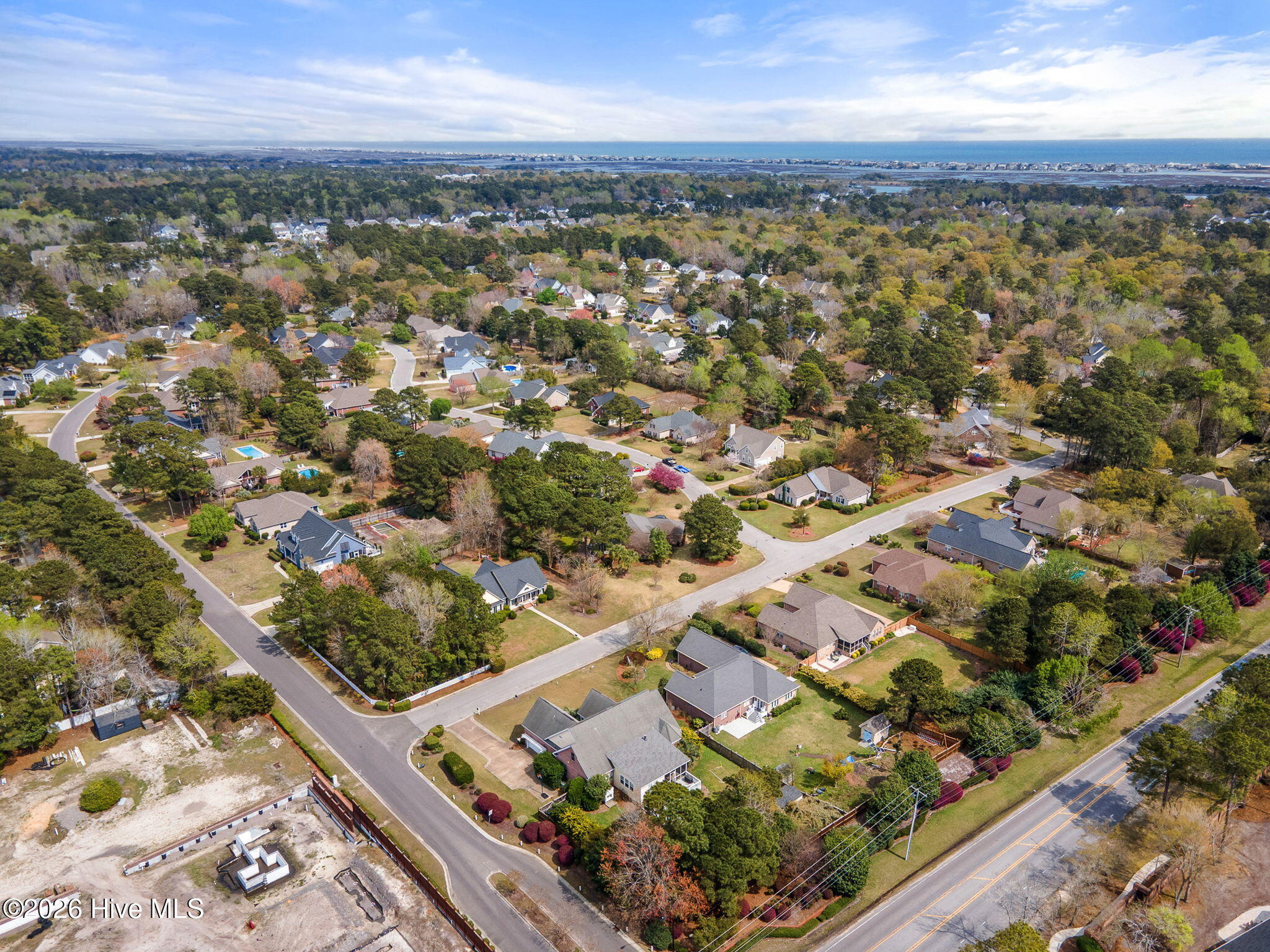 100561515 | Photo 123