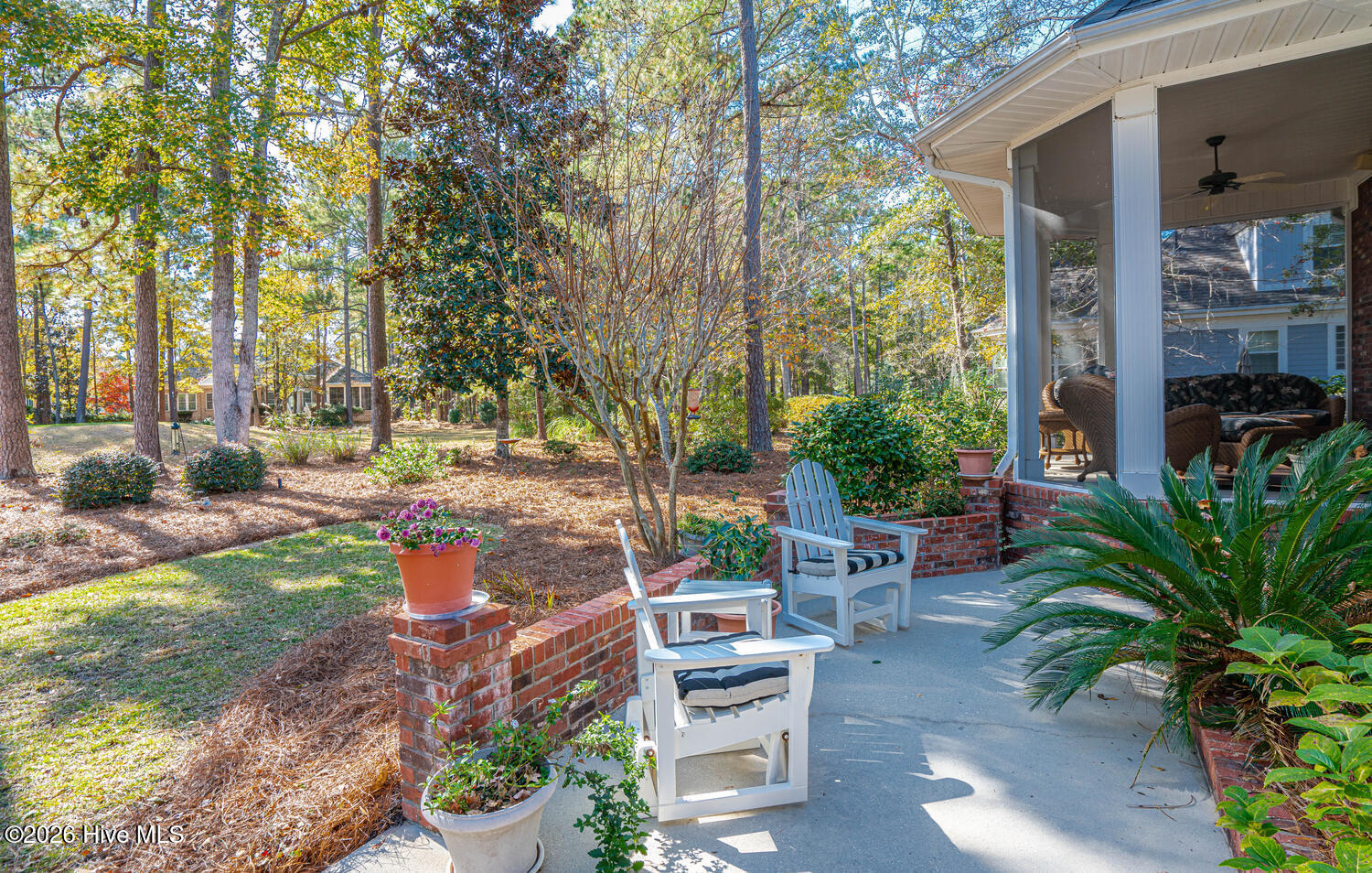 100551245 | Photo 57