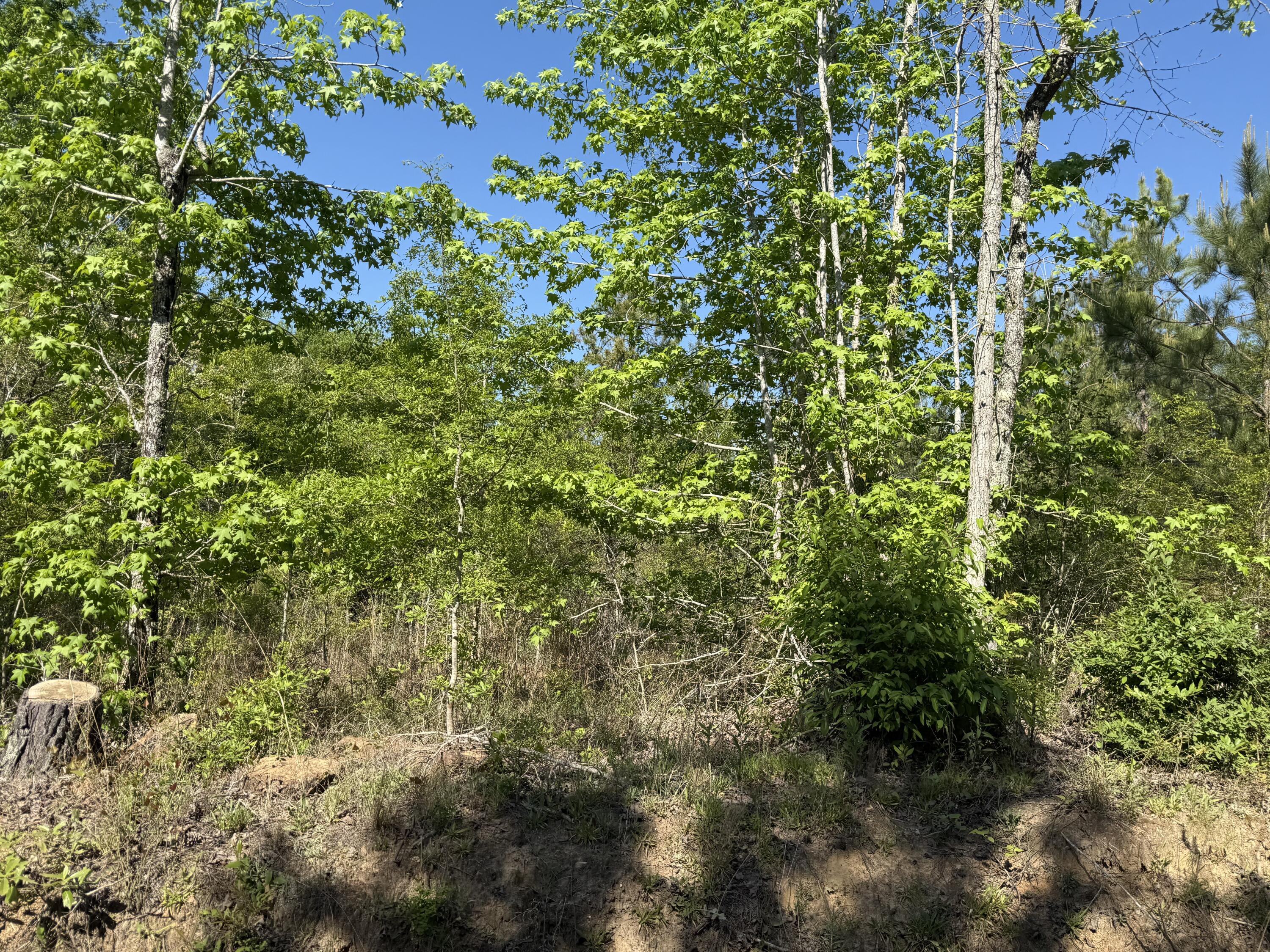 8087 Sandhill Road, Mitchell, GA, 30820