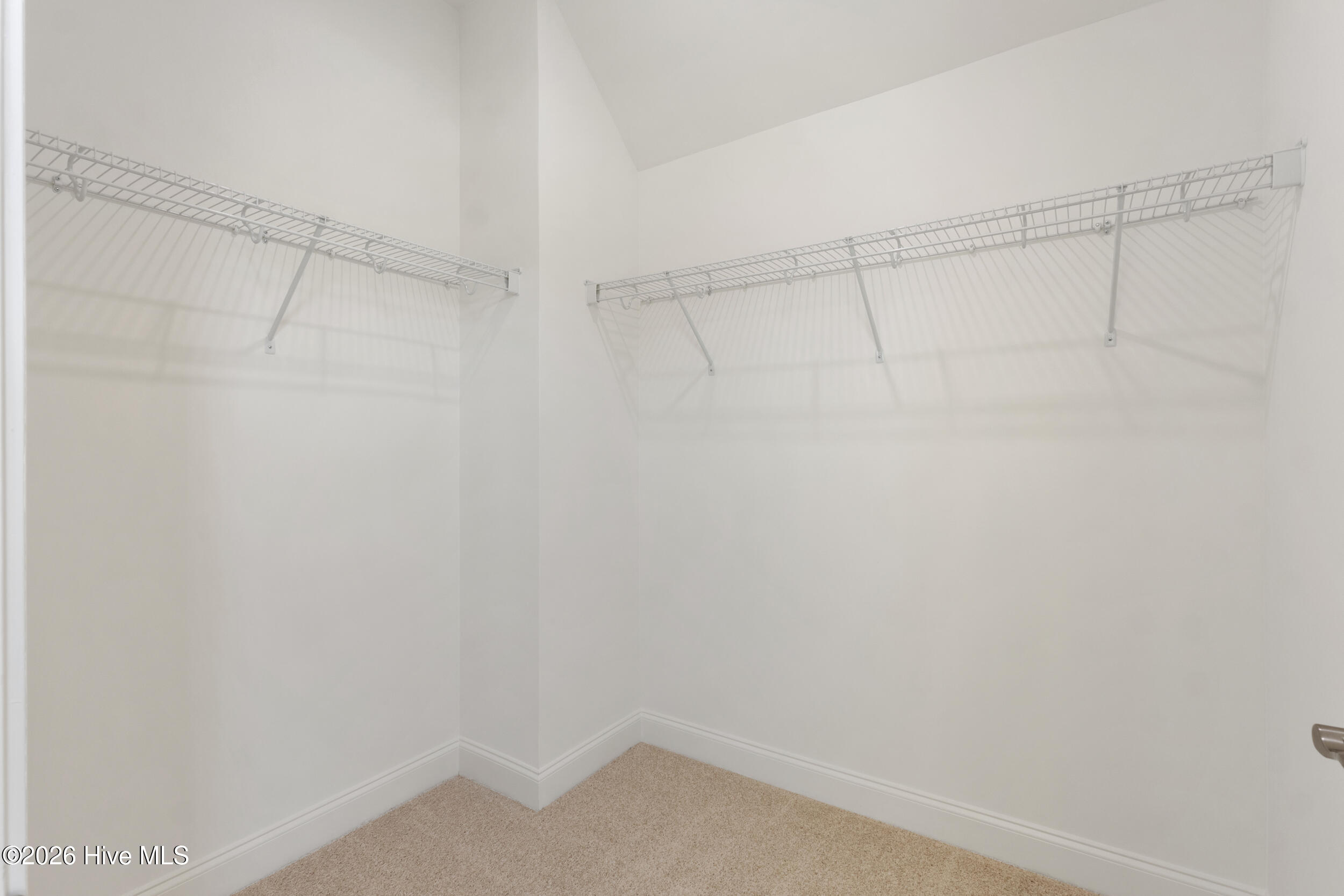 100567721 | Photo 38