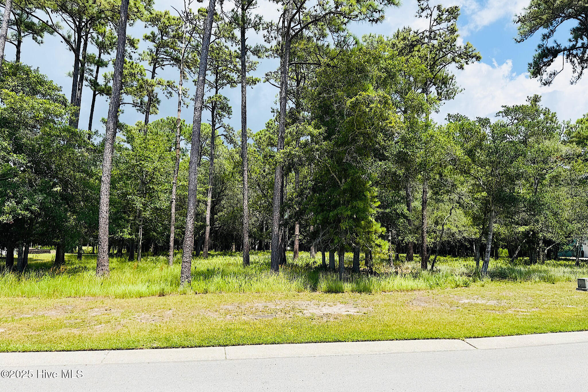 Carolina Barrier Islands