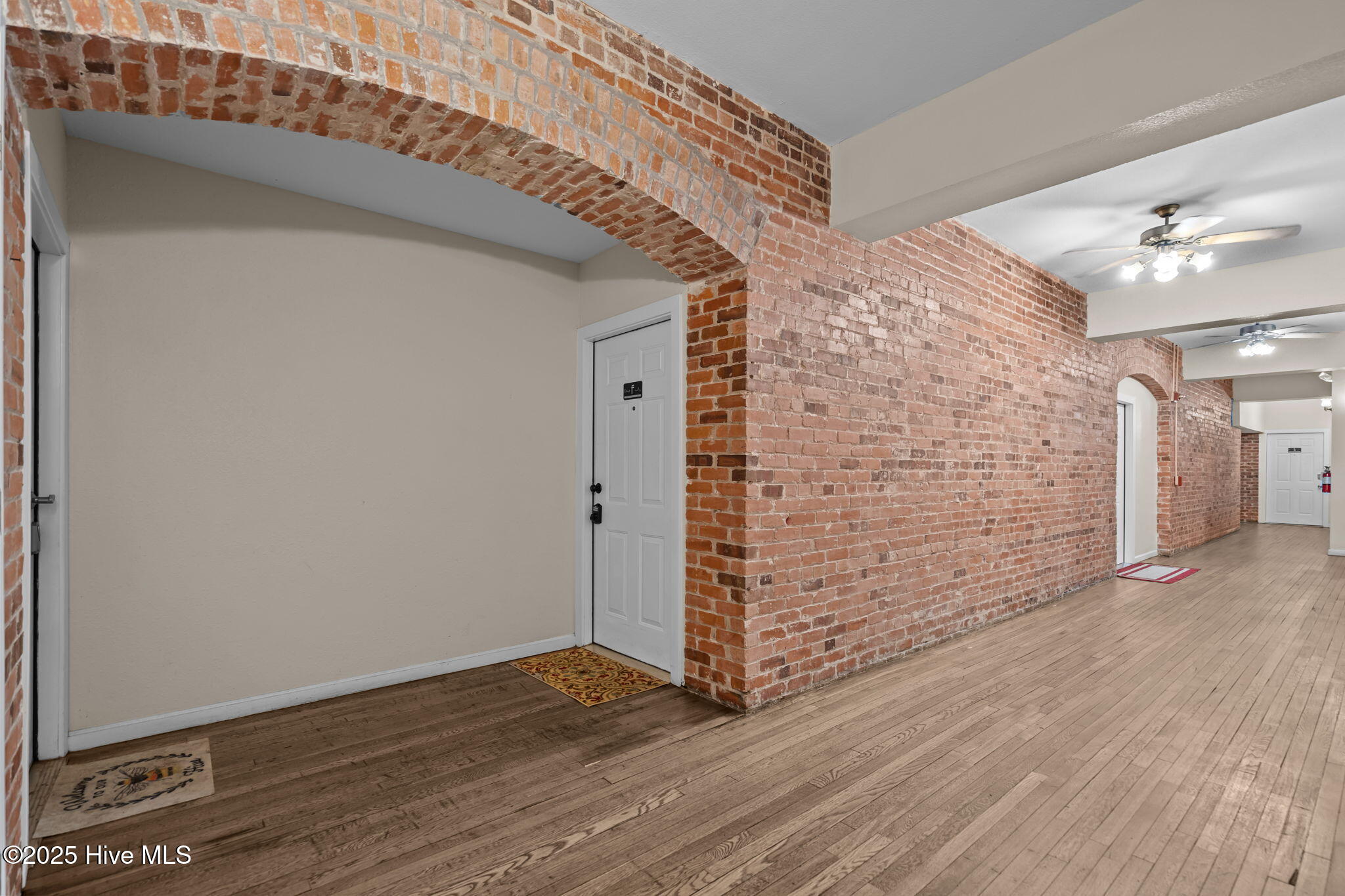 100535047 | Photo 11