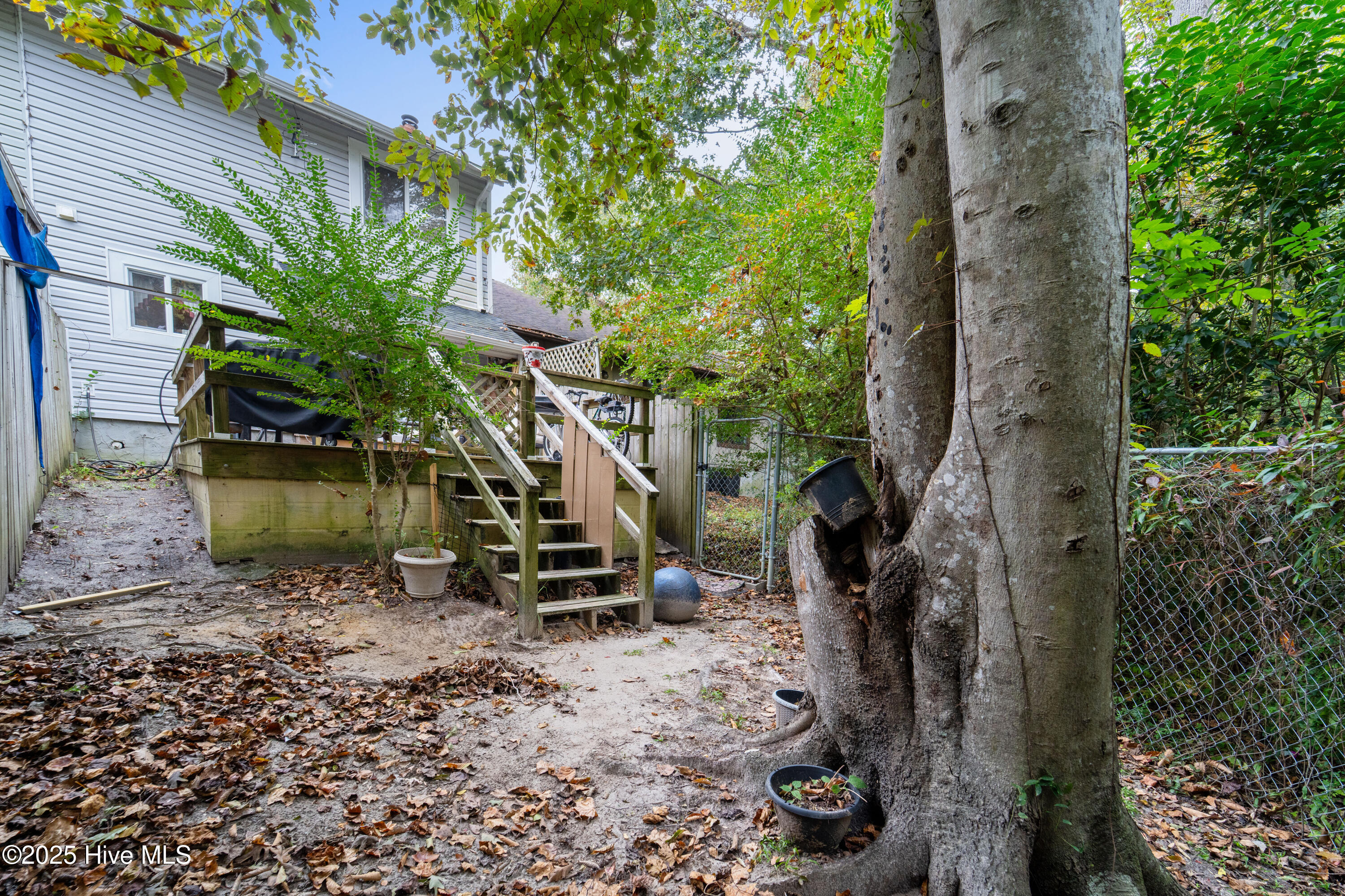 100538926 | Photo 20