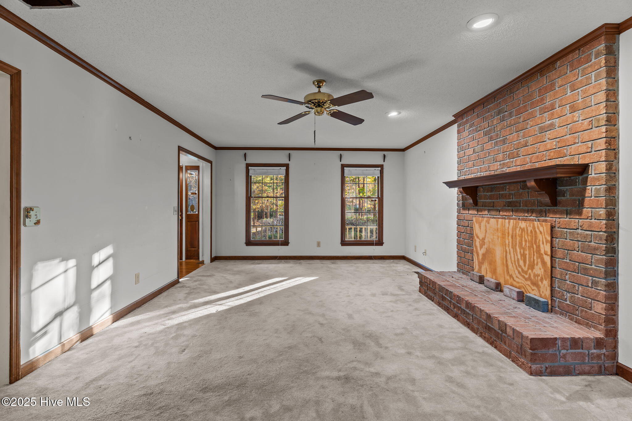 100540294 | Photo 11