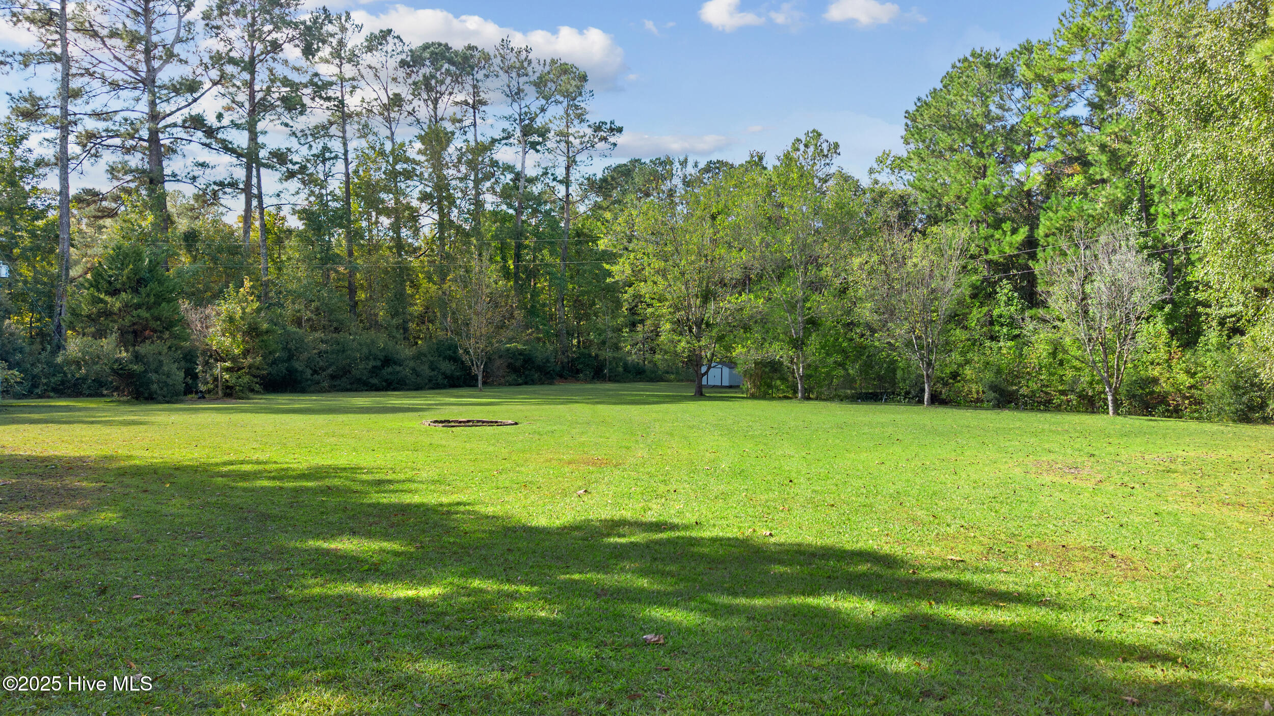 100536494 | Photo 30