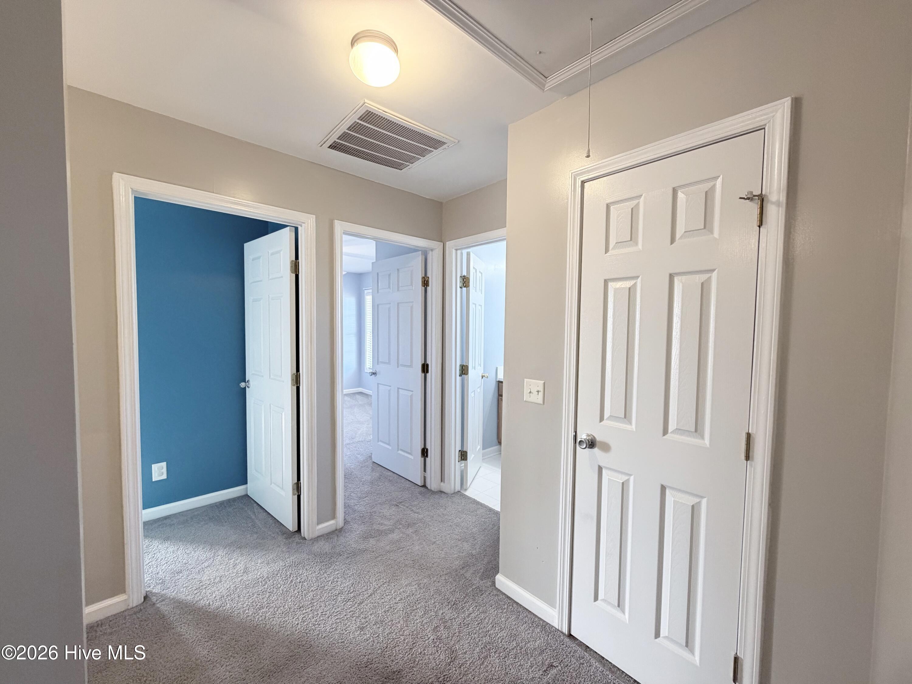 100547389 | Photo 38