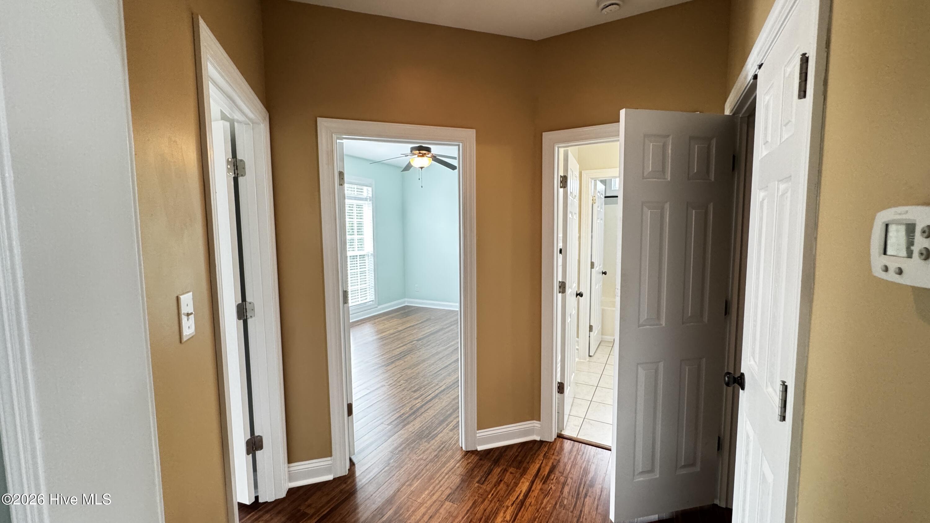 100565264 | Photo 25