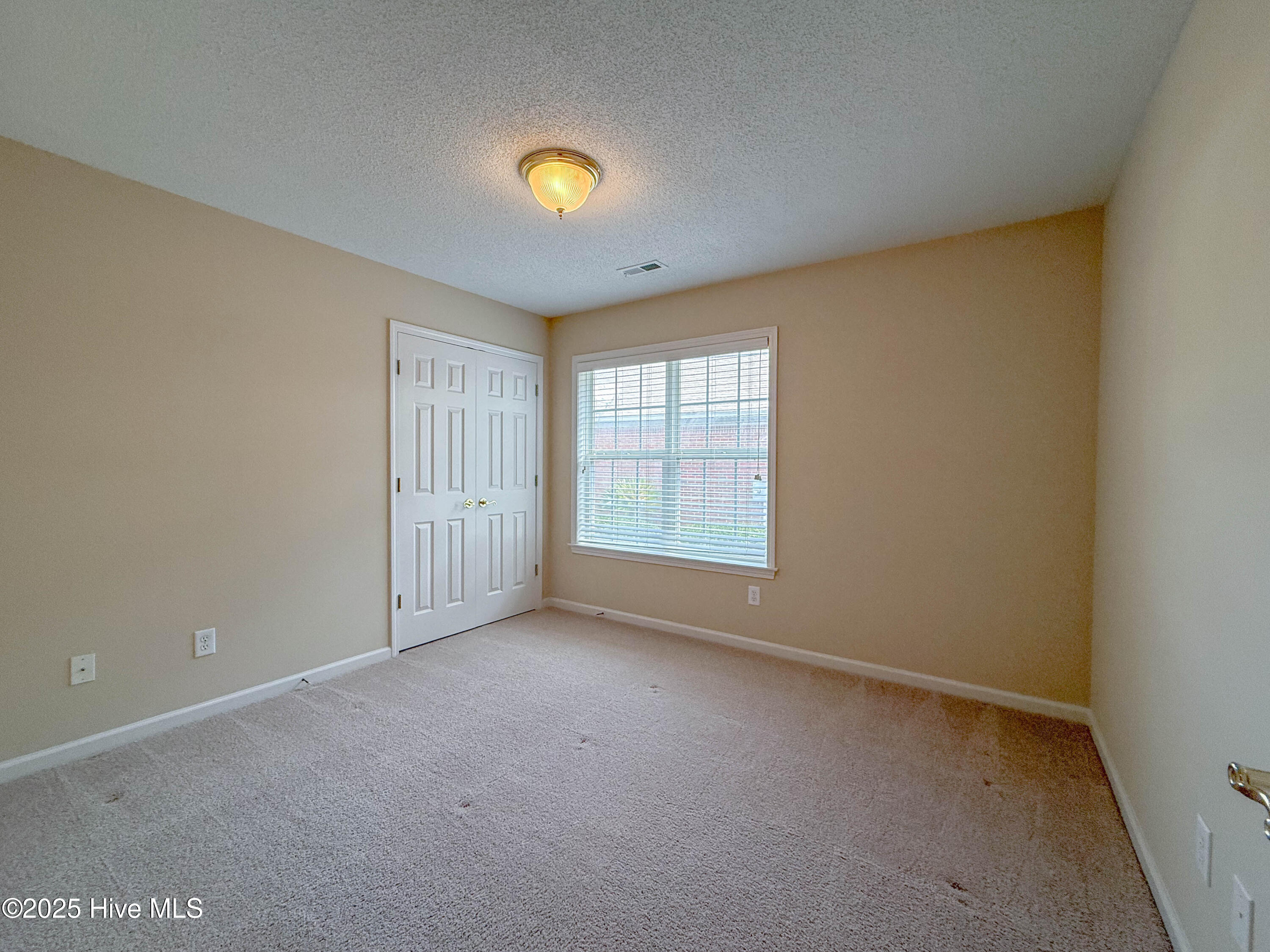 100542356 | Photo 37