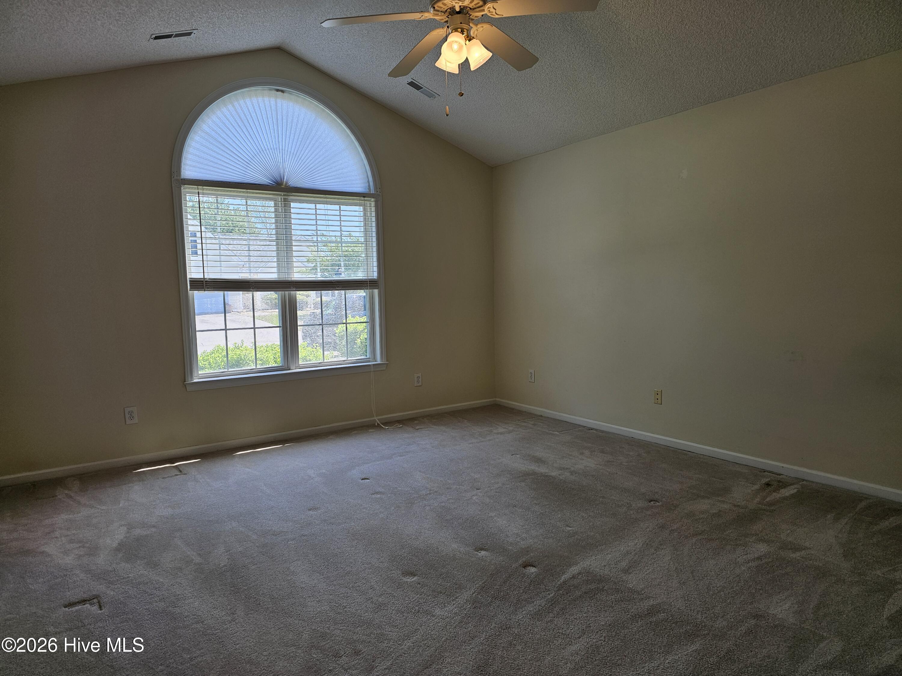 100566879 | Photo 12