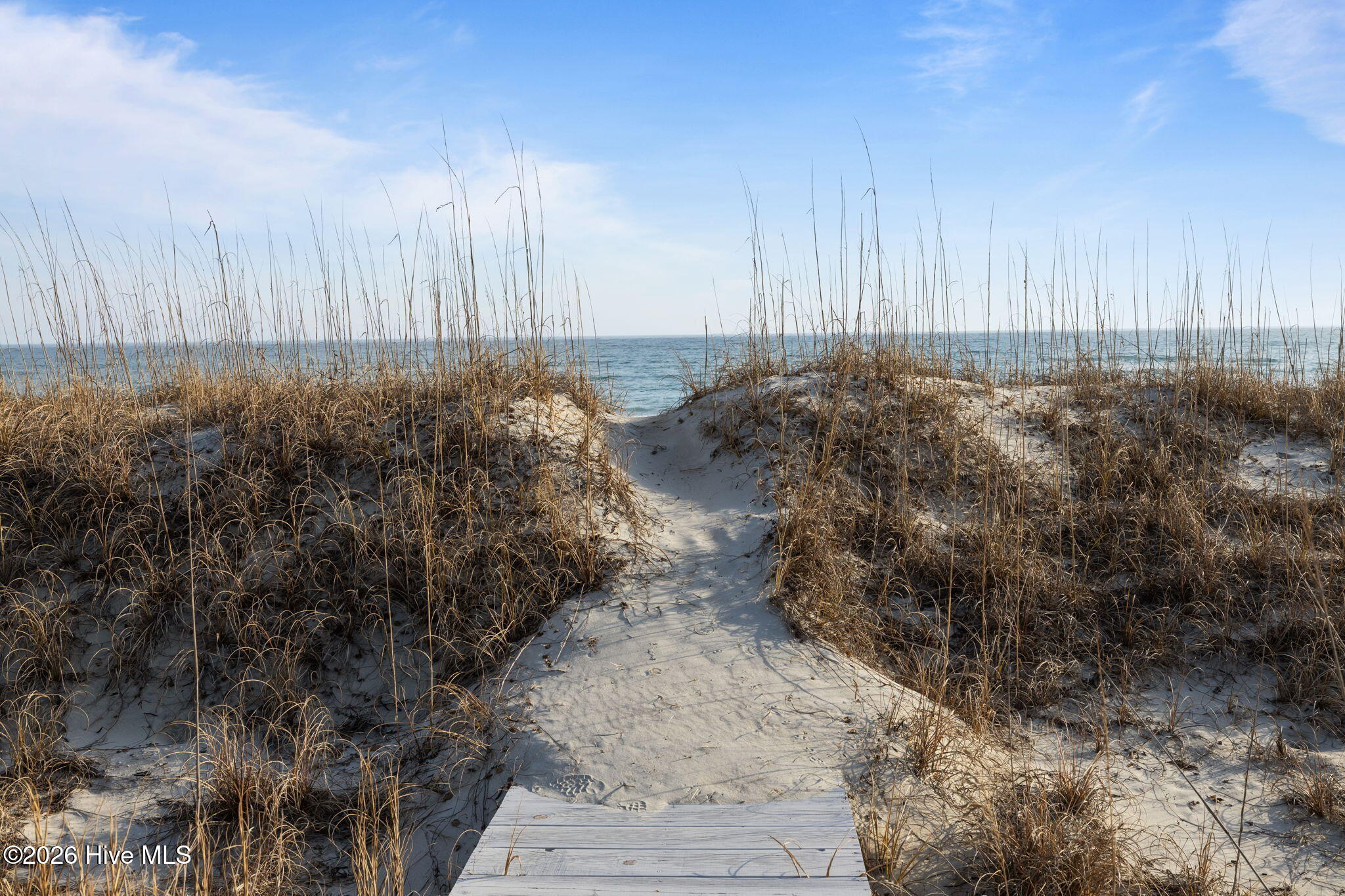 100553292 | Photo 13