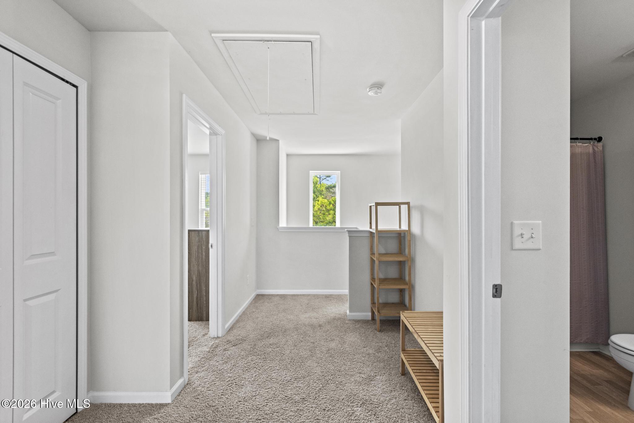 100565609 | Photo 13