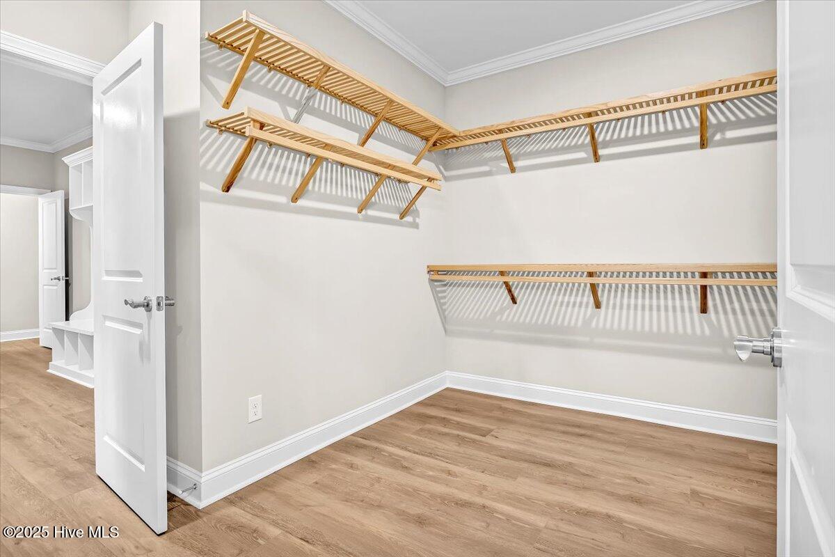 100505838 | Photo 41