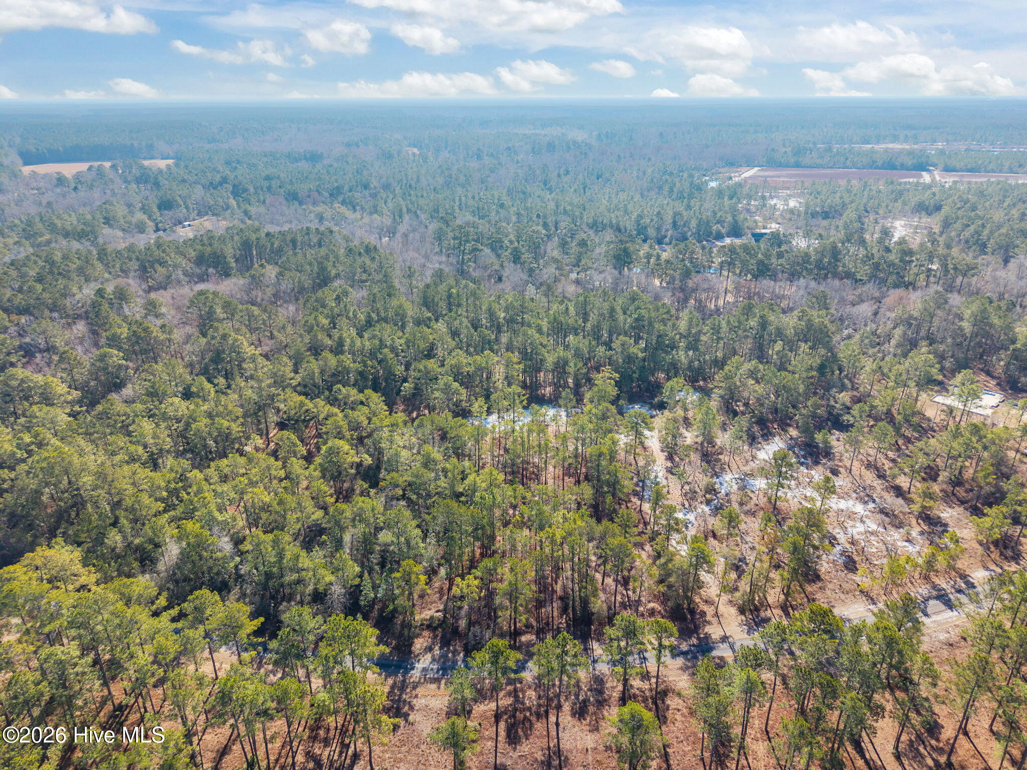 100554488 | Photo 10