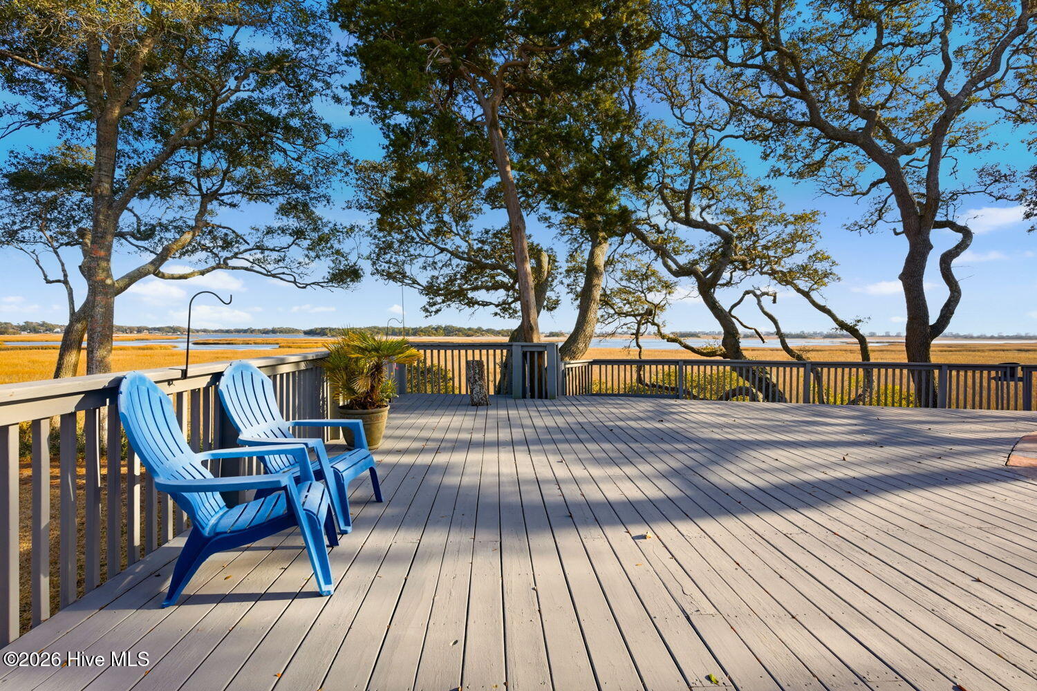 100555679 | Photo 57