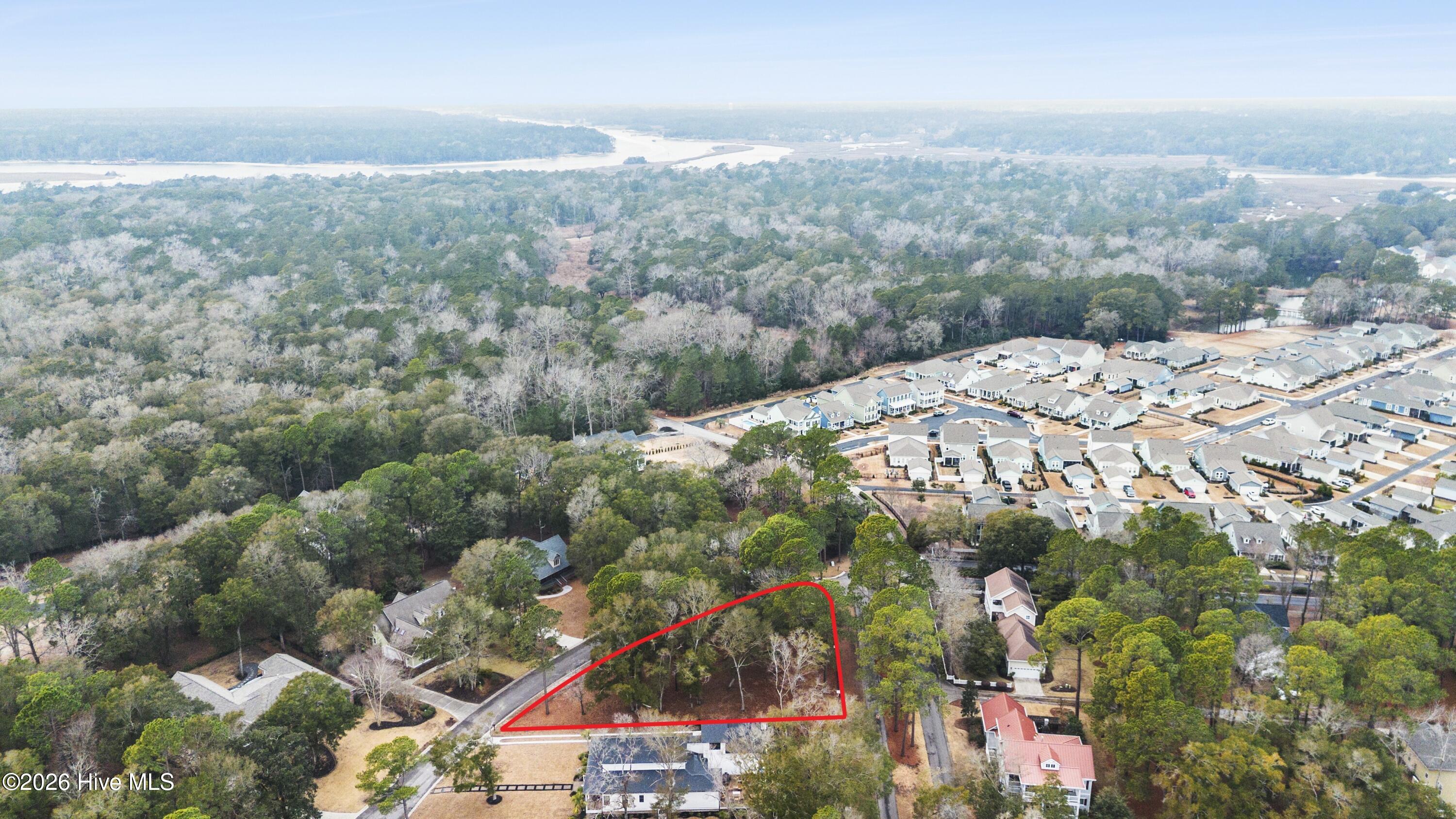 100553225 | Photo 13