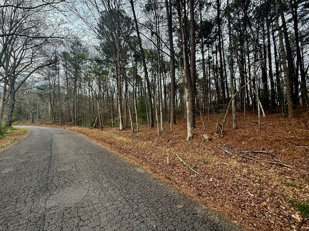 4th image of 0 Nicholson Cir, Turtletown, TN 37391 | MLS# 98544378