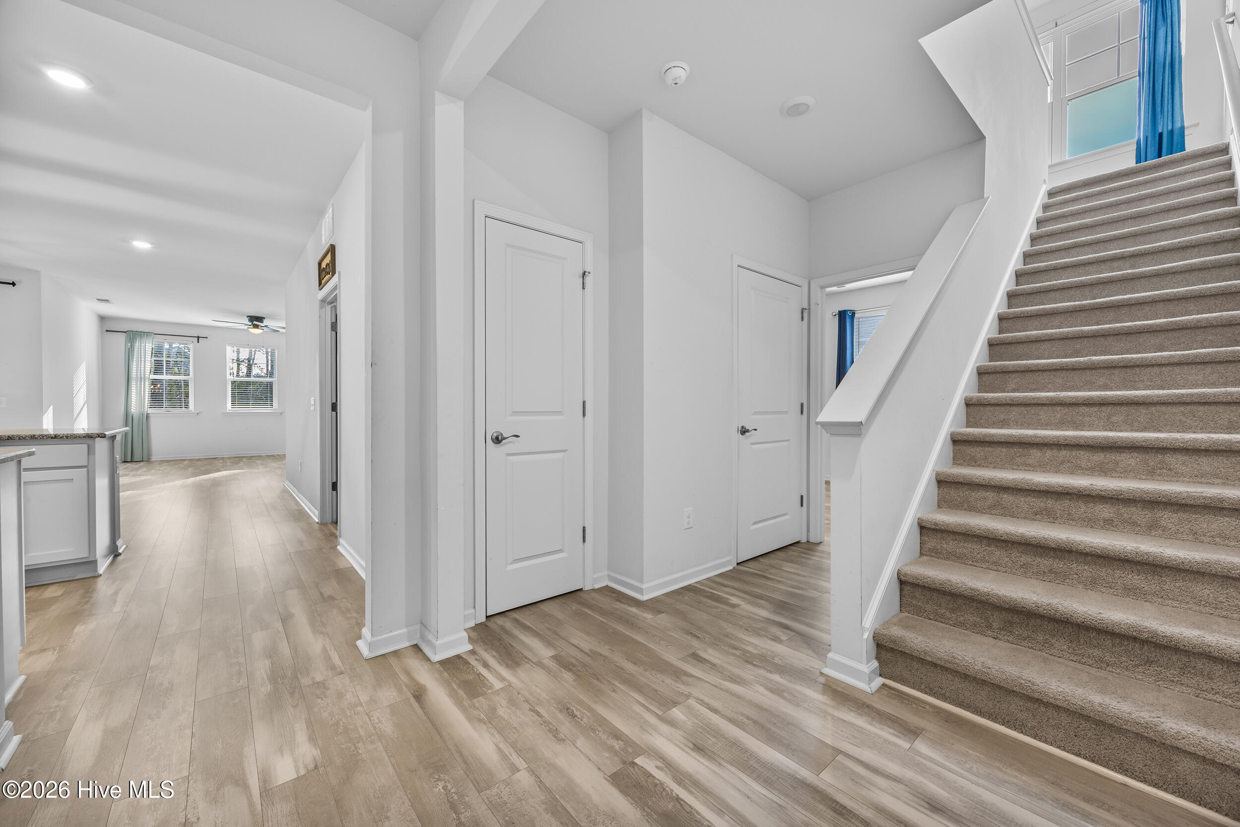 100552645 | Photo 13