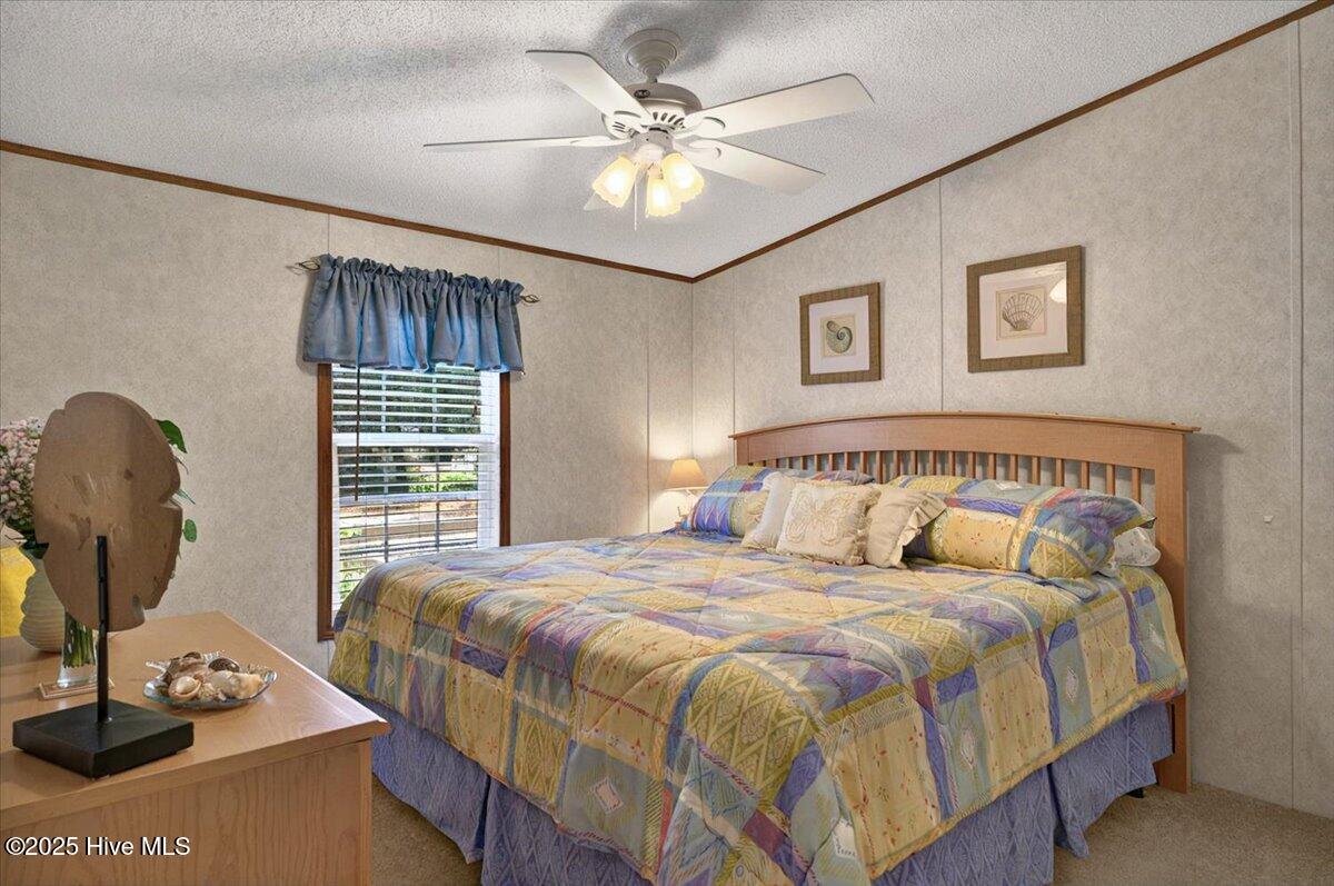 100555131 | Photo 26