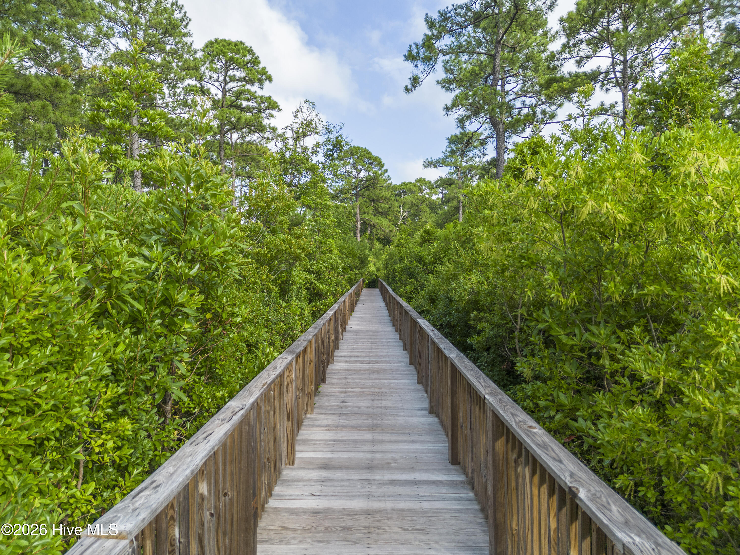 100565220 | Photo 81