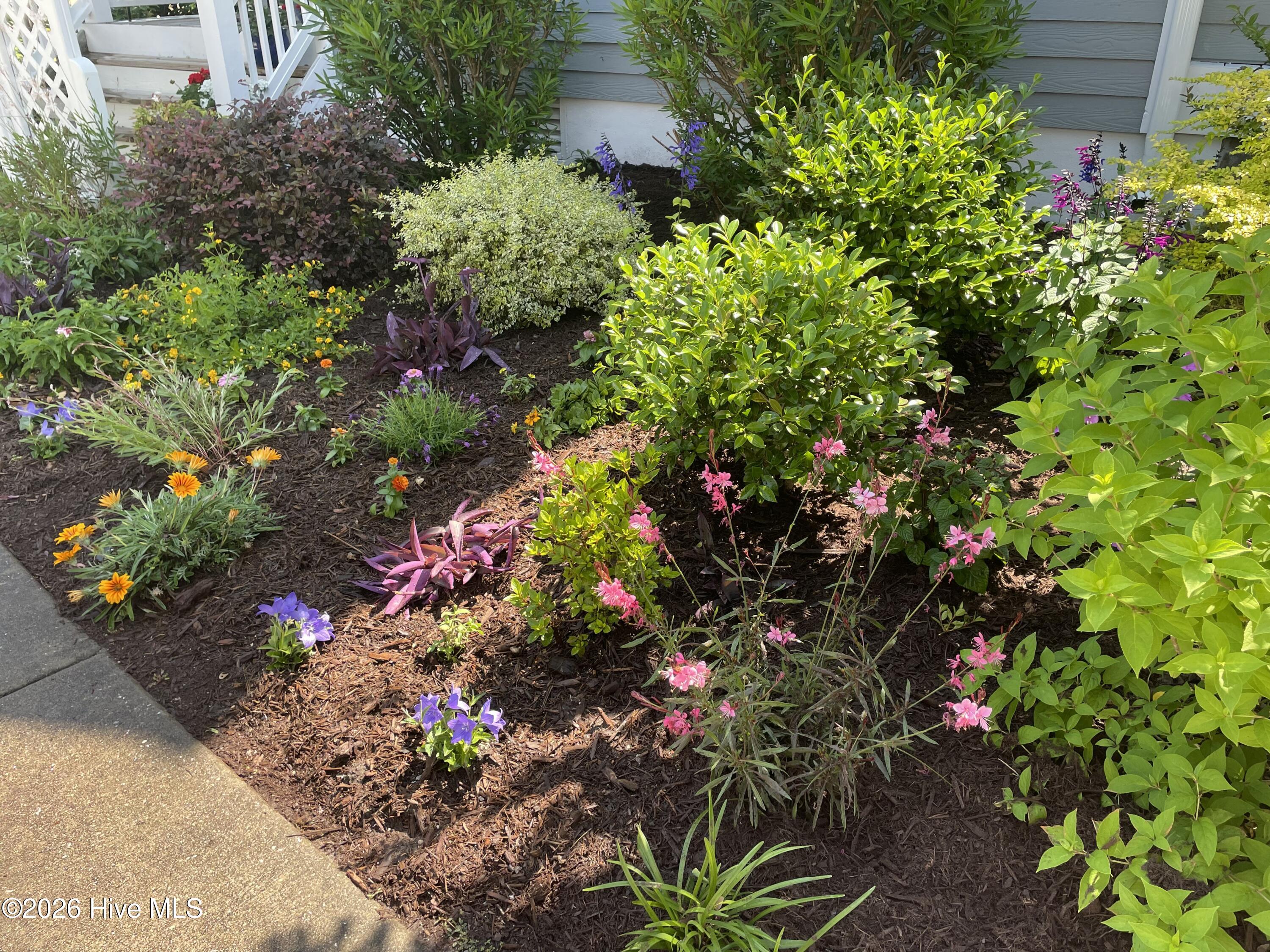 100559710 | Photo 72