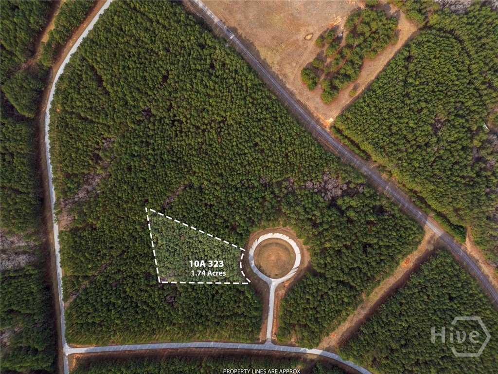 1325 Magnolia, Tignall, Georgia, 0 ,Land,For sale,Magnolia,CL361188 1325 Magnolia, Tignall, Georgia, 0 ,Land,For sale,Magnolia,CL361188