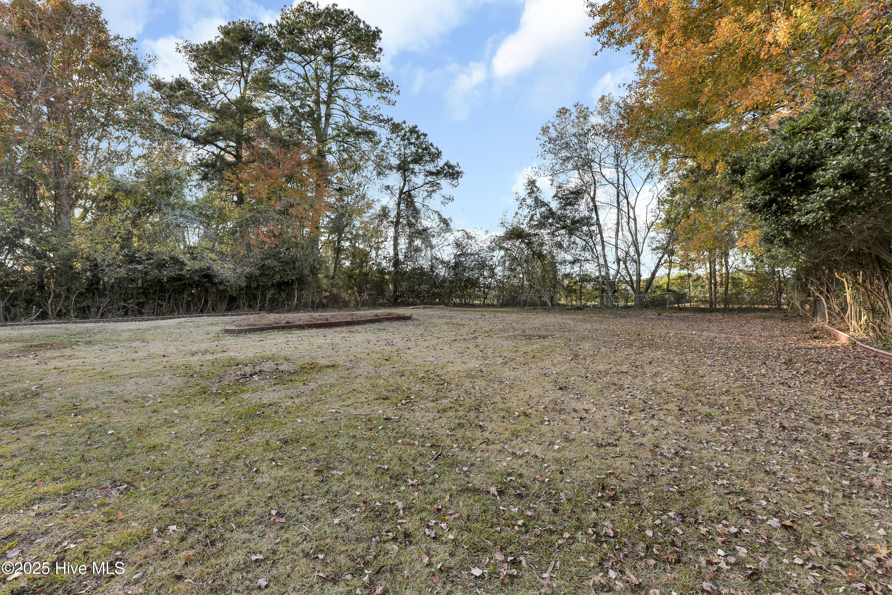 100542523 | Photo 26