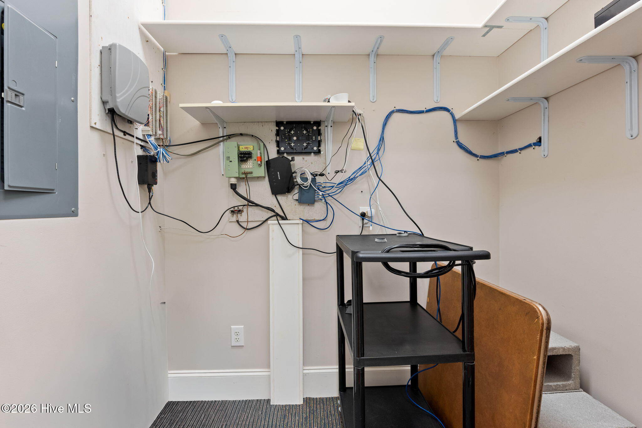 100555009 | Photo 12