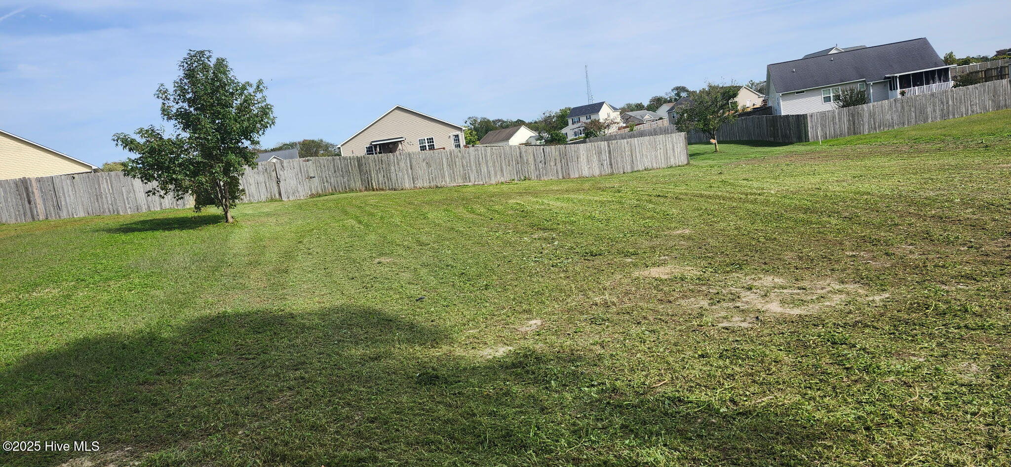 100530465 | Photo 49