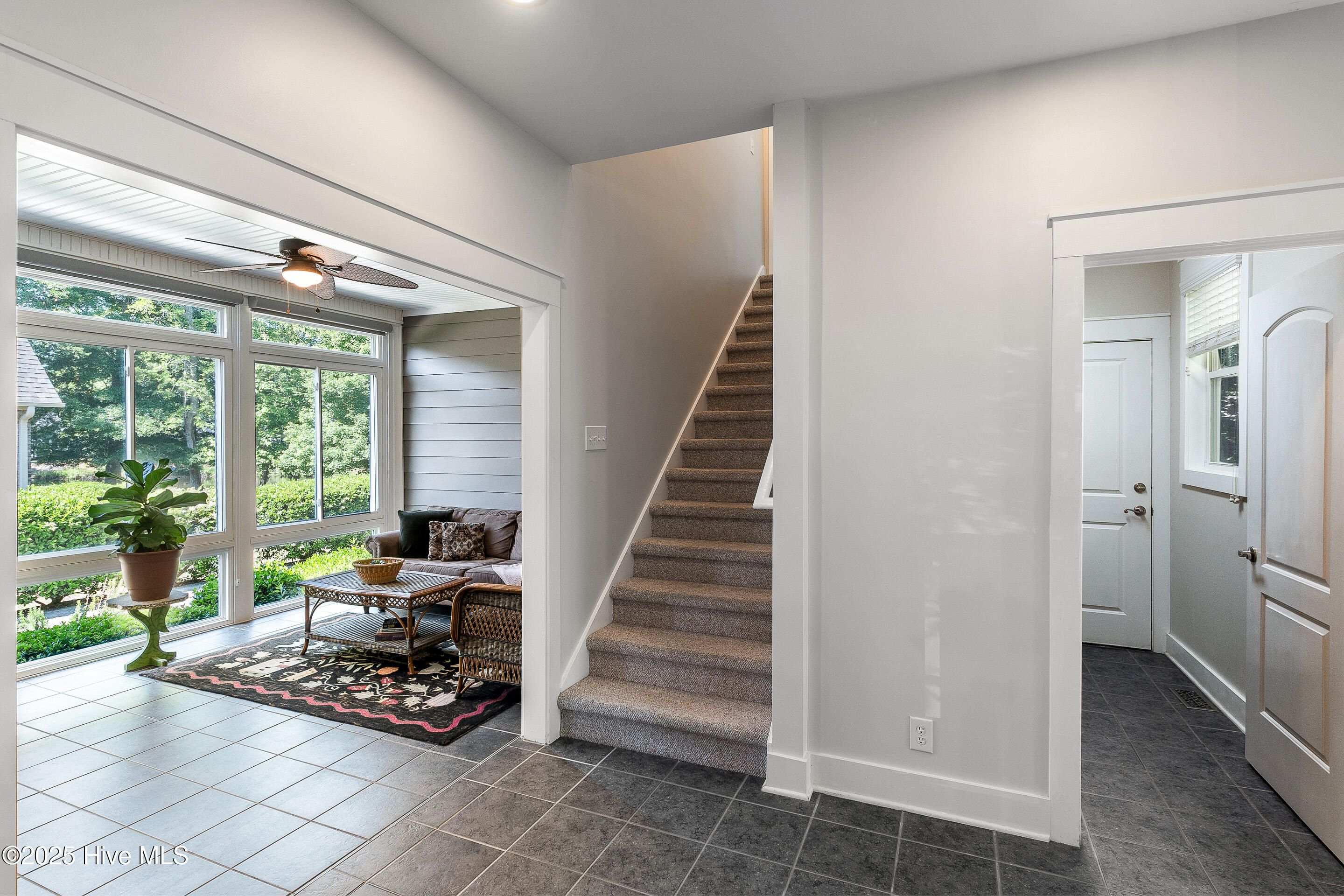 100505939 | Photo 38